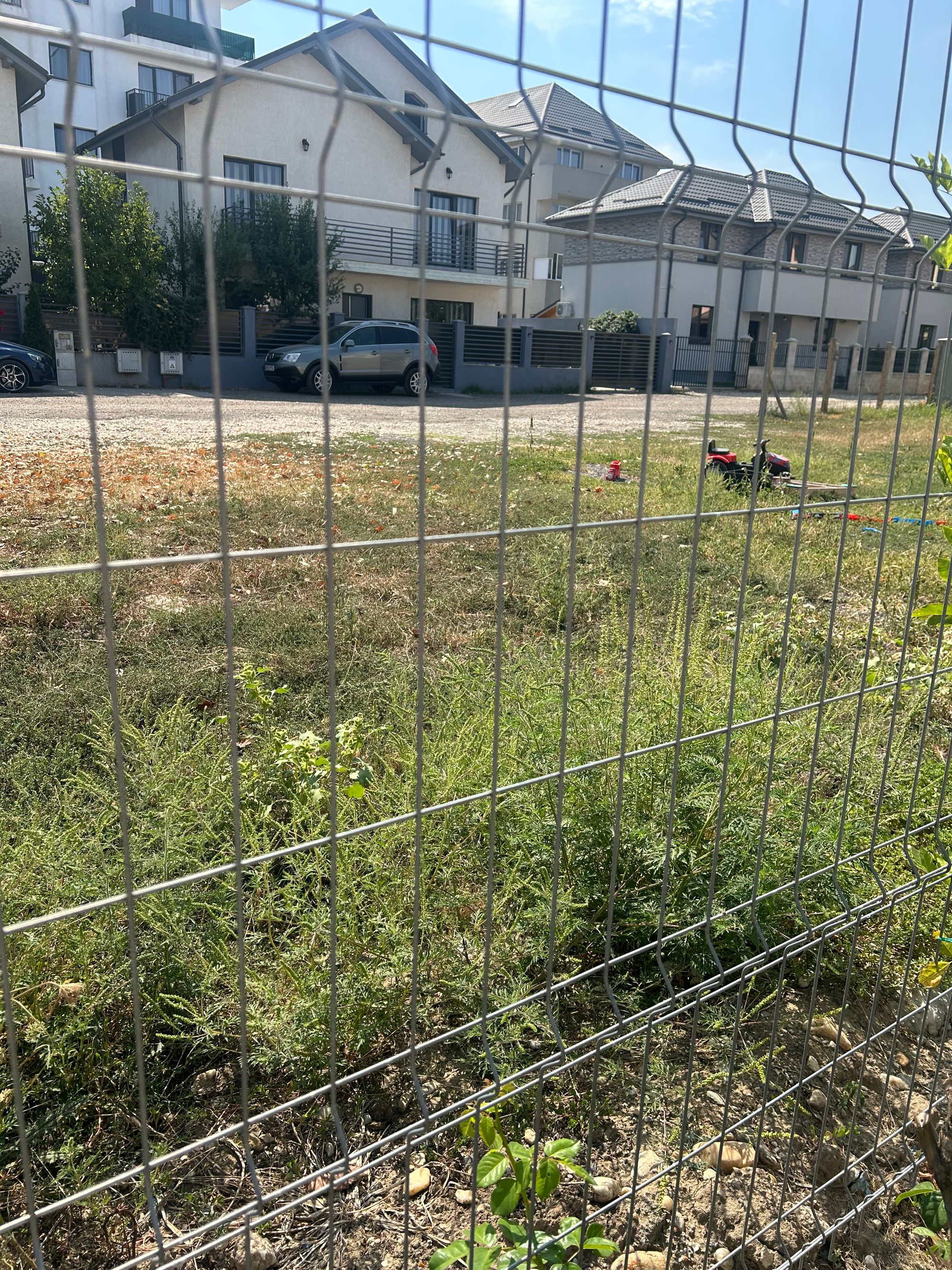 Ambrozie in Strada Mărgelelor 46, Bragadiru, Oraş Bragadiru, Județul Ilfov - IMG_7888.jpeg