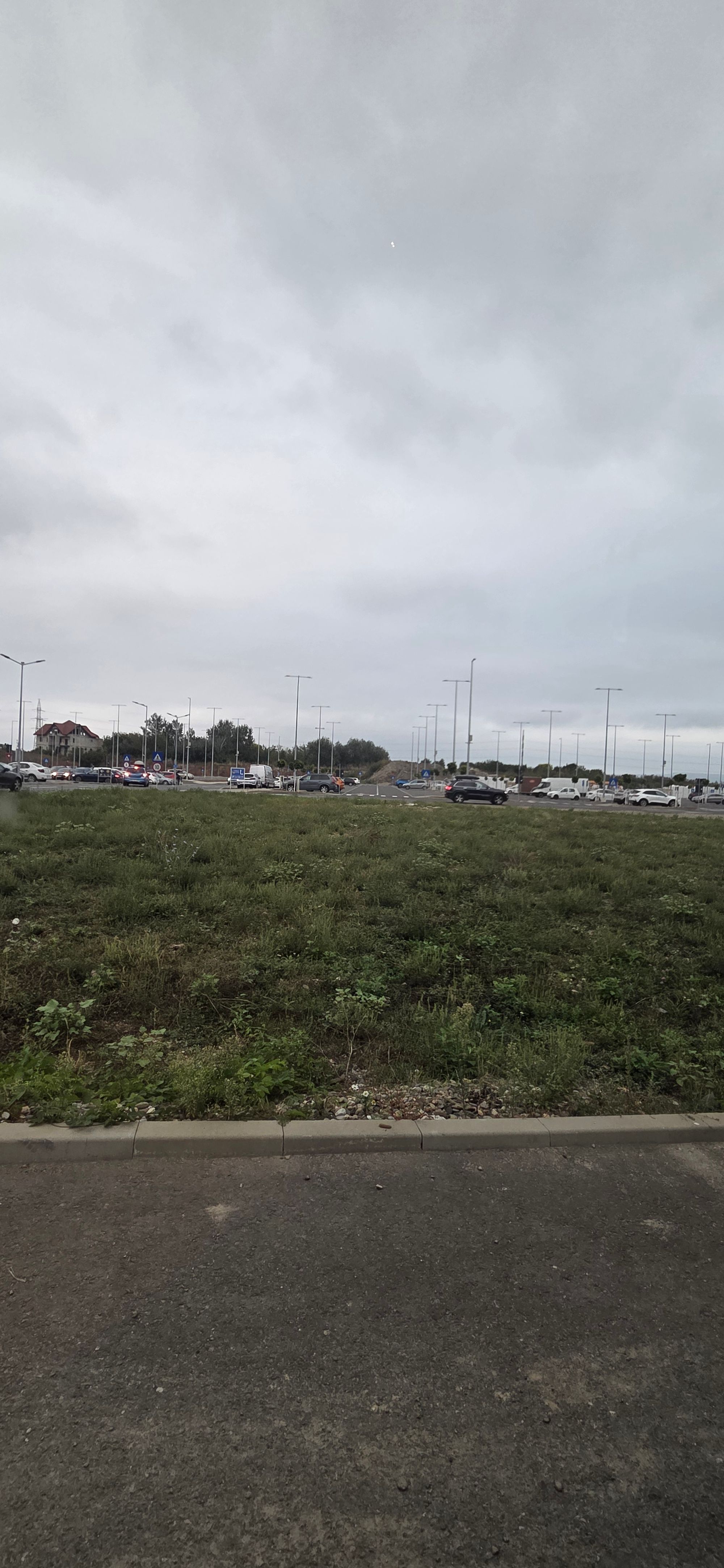 Ambrozie in Strada Ștefan cel Mare 32 A, Bacău, Municipiu Bacău, Județul Bacău