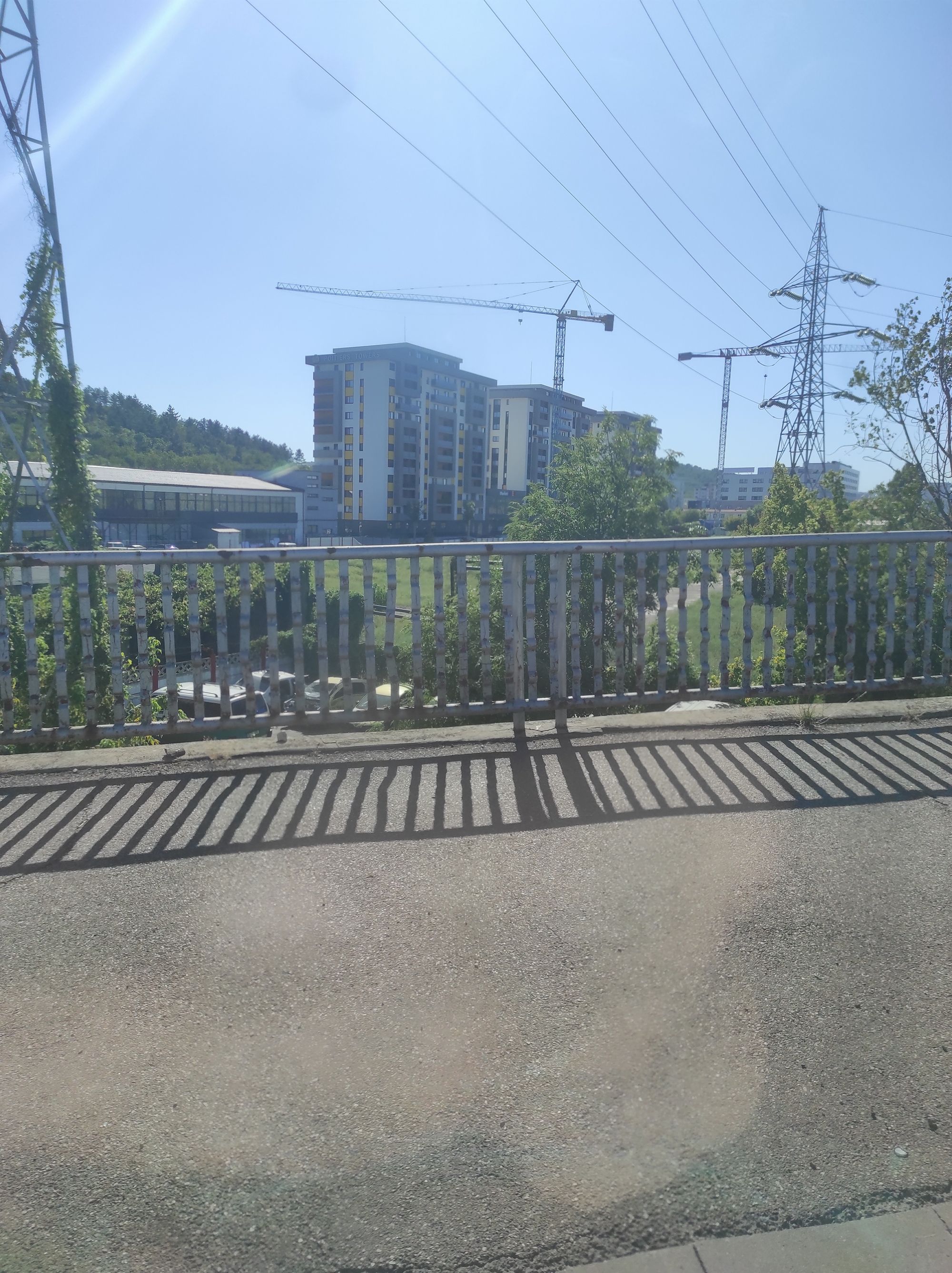 Ambrozie in Bulevardul Poitiers 7, Iași, Municipiu Iaşi, Județul Iași - IMG_20250829_154214.jpg