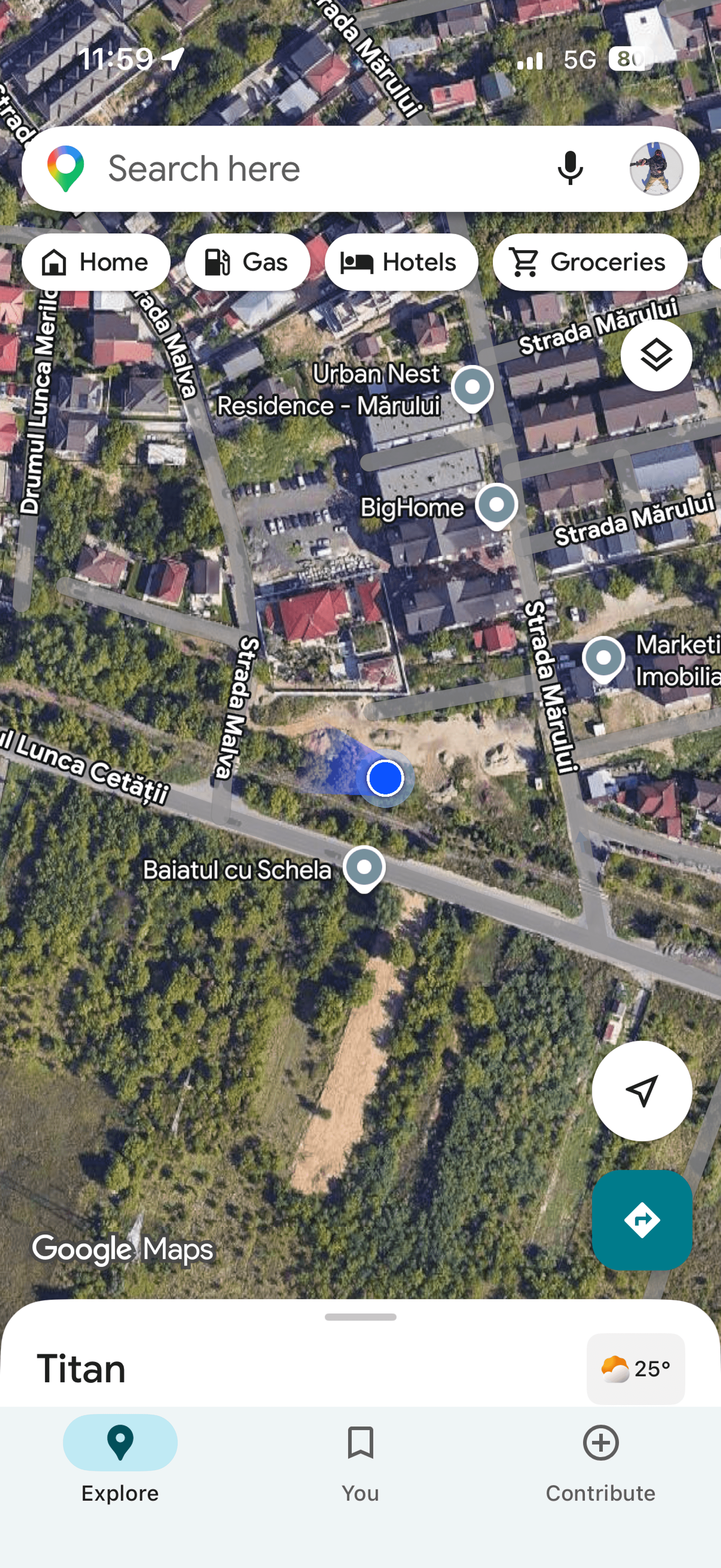 Ambrozie in Drumul Lunca Cetății 74, București, Municipiul București