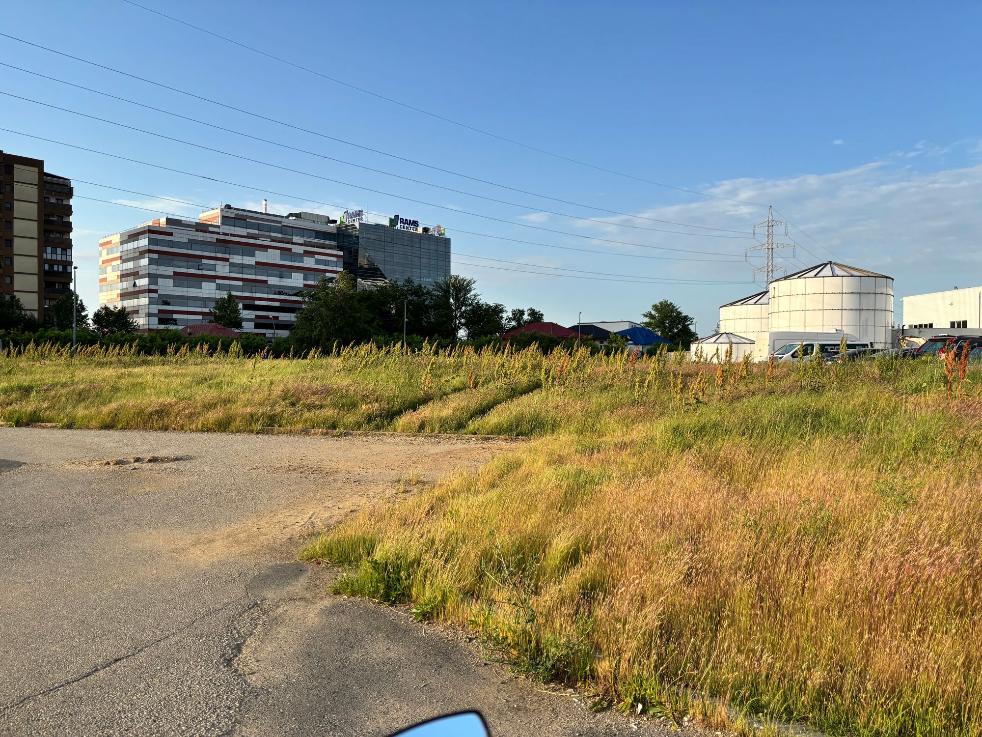 Ambrozie in Șoseaua Dudești-Pantelimon 79, București, Municipiul București