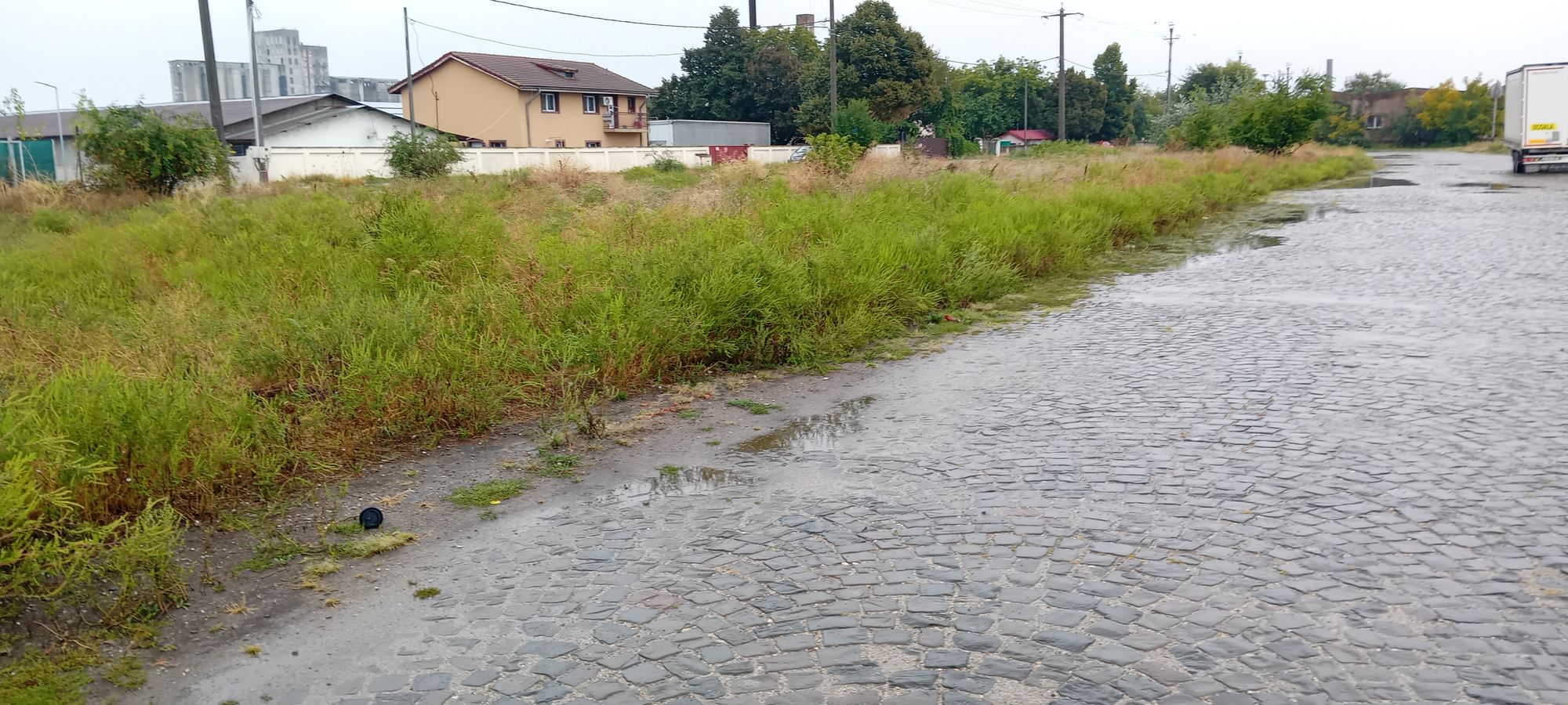 Ambrozie in Strada Regiei, Urziceni, Ialomita, Județul Ialomița - 1000035149.jpg