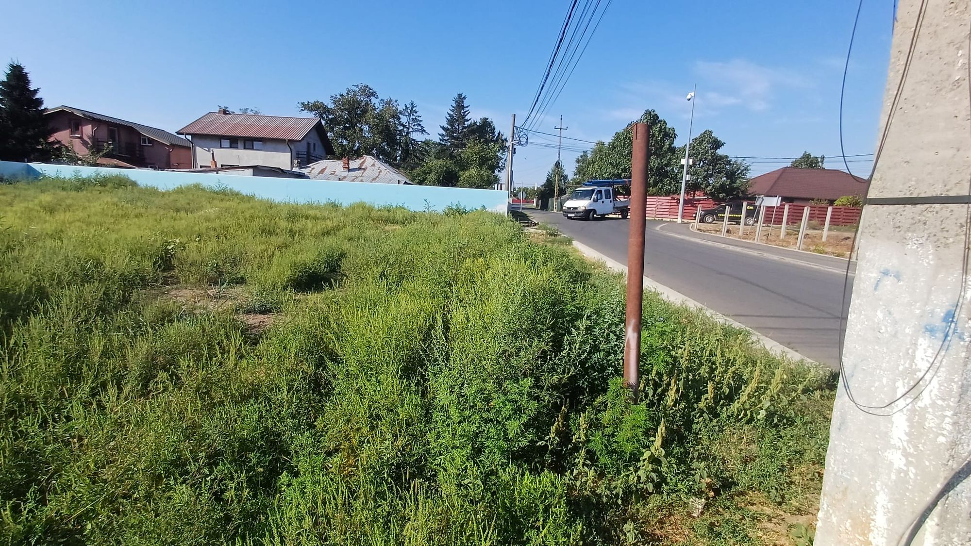 Ambrozie in Strada Fulger 4, Buciumeni, Oraş Buftea, Județul Ilfov - WhatsApp Image 2025-09-09 at 6.06.24 PM.jpeg