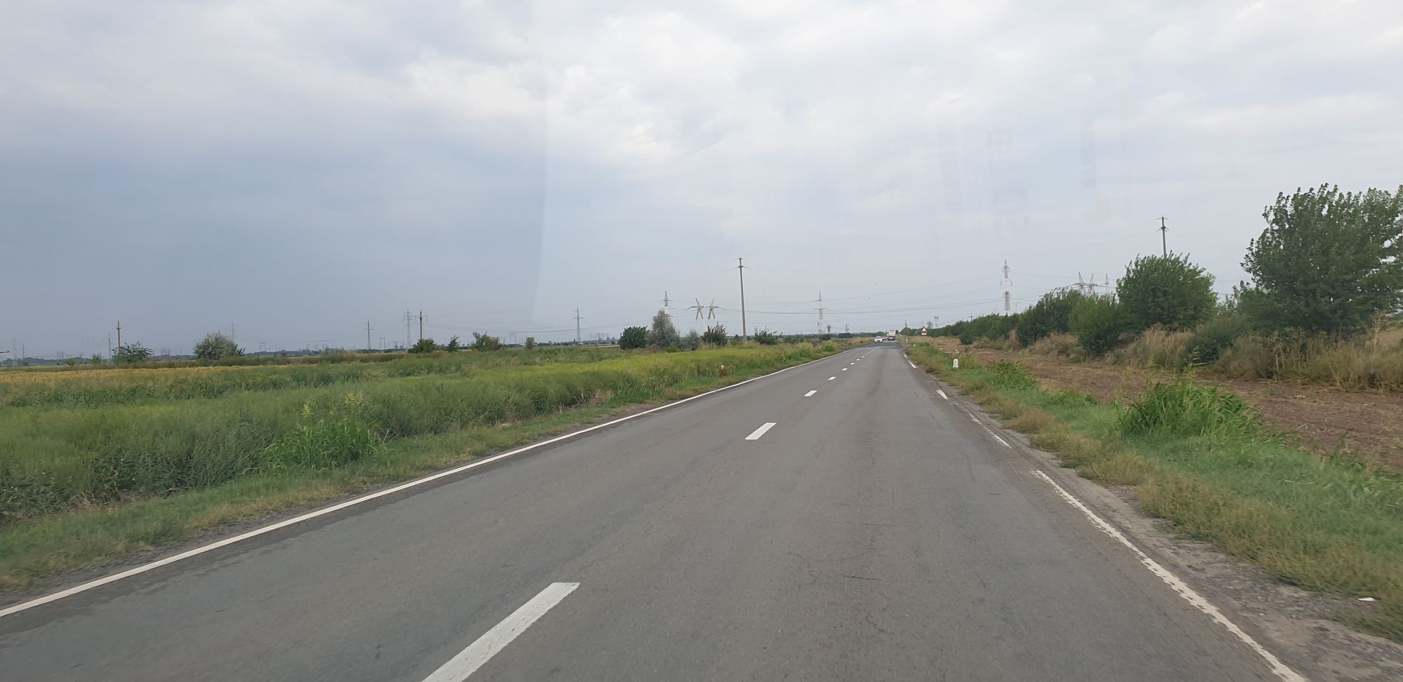 Ambrozie in Brăila, Județul Brăila - 20240827_154952.jpg