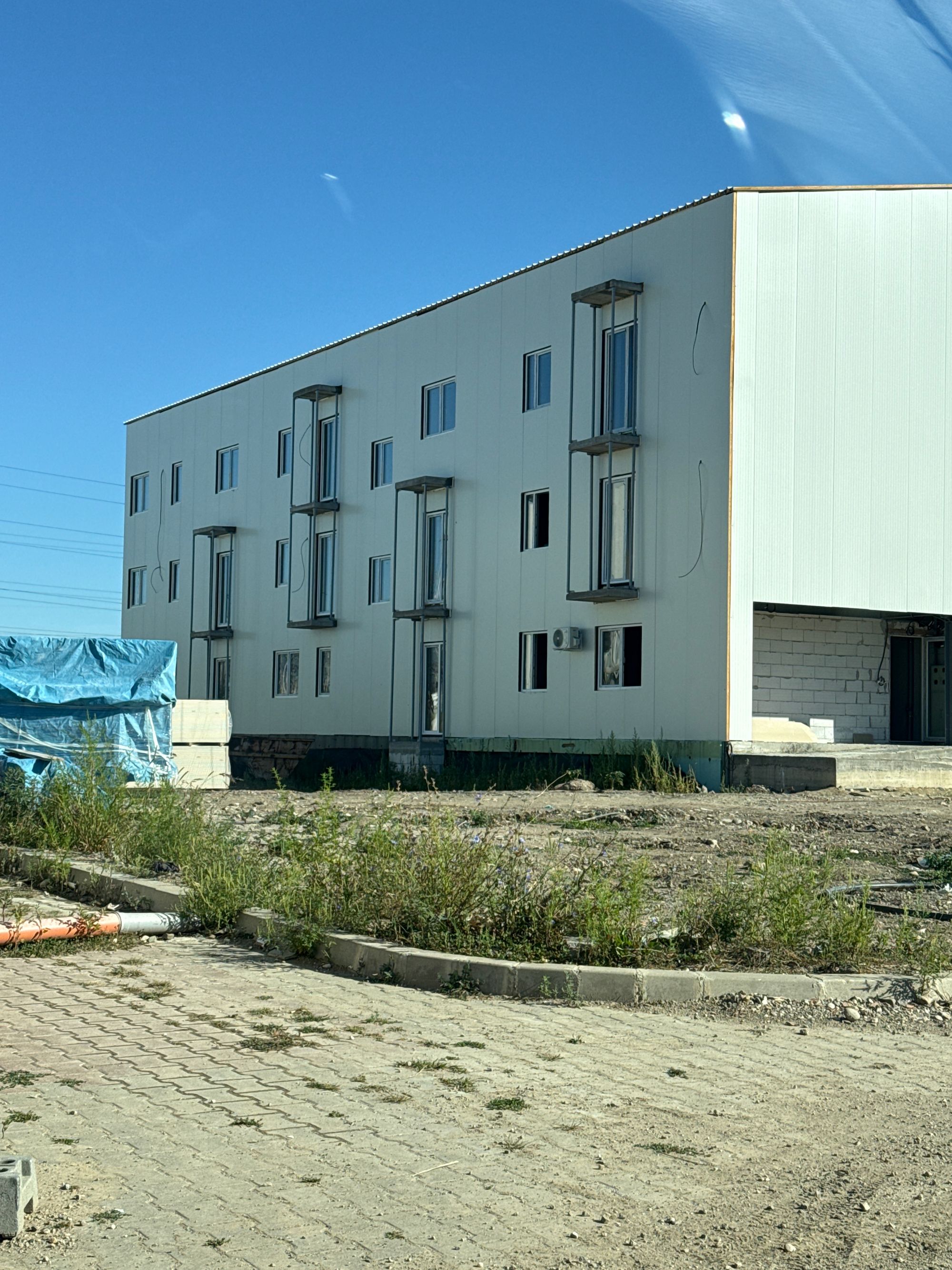 Ambrozie in Strada Gheorghe Șincai 14, Alba Iulia, Municipiu Alba Iulia, Județul Alba