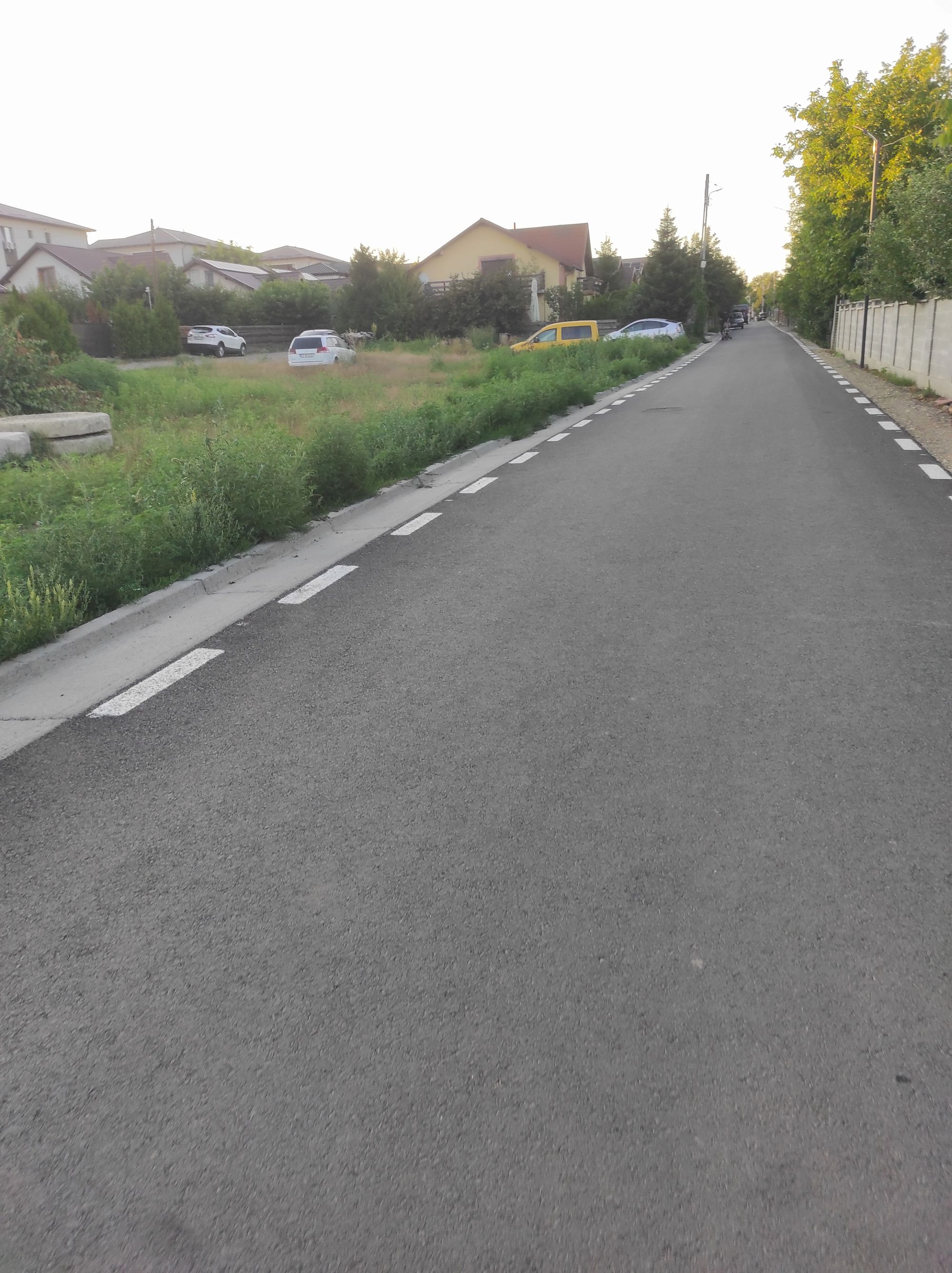 Ambrozie in Str. Agricultorilor 6, Lunca Cetățuii, Lunca Cetatuii, Județul Iași - IMG_20260729_195742.jpg