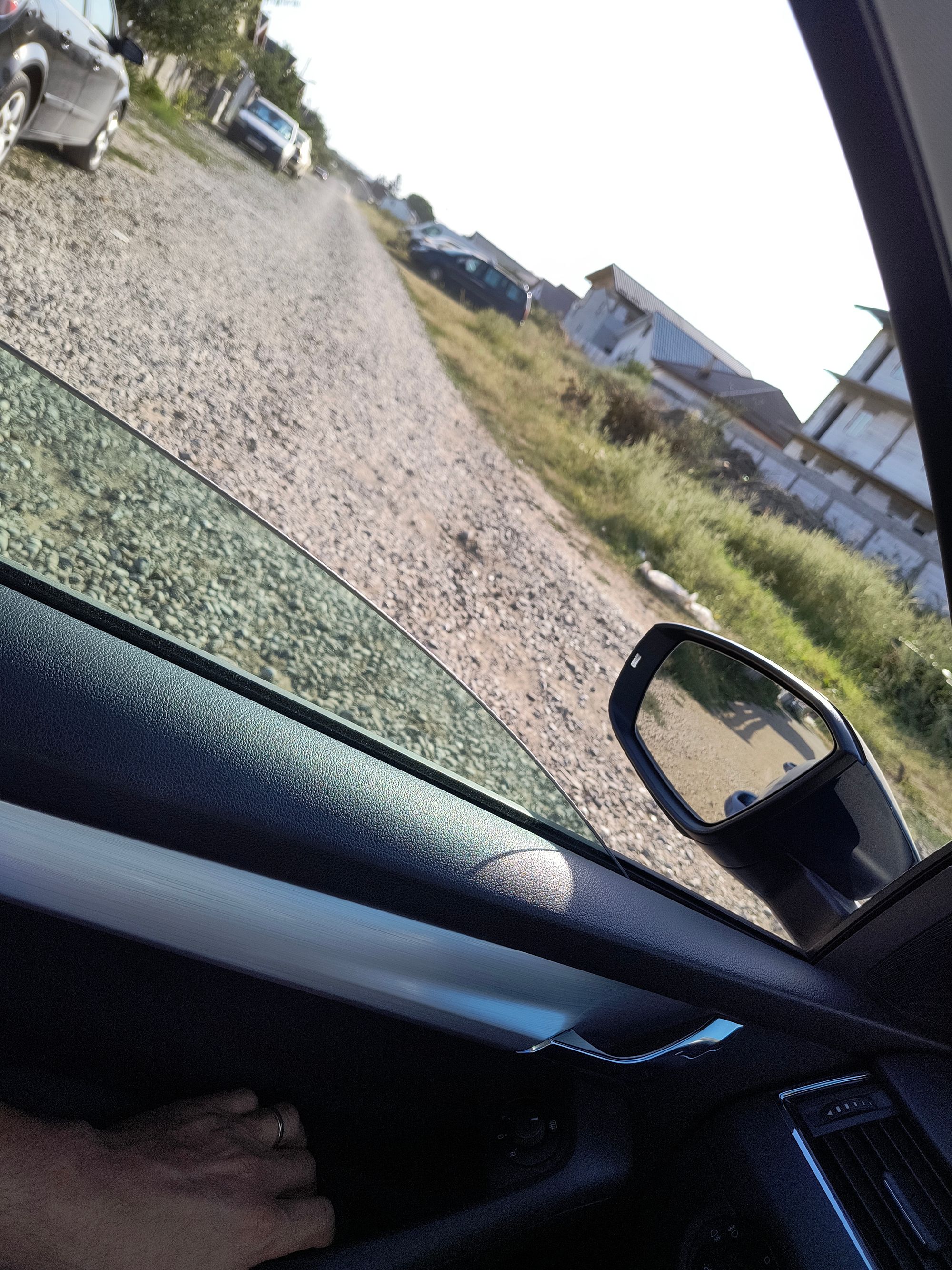 Ambrozie in Strada Lămâiței 67, Pantelimon, Oraş Pantelimon, Județul Ilfov - 1000026560.jpg