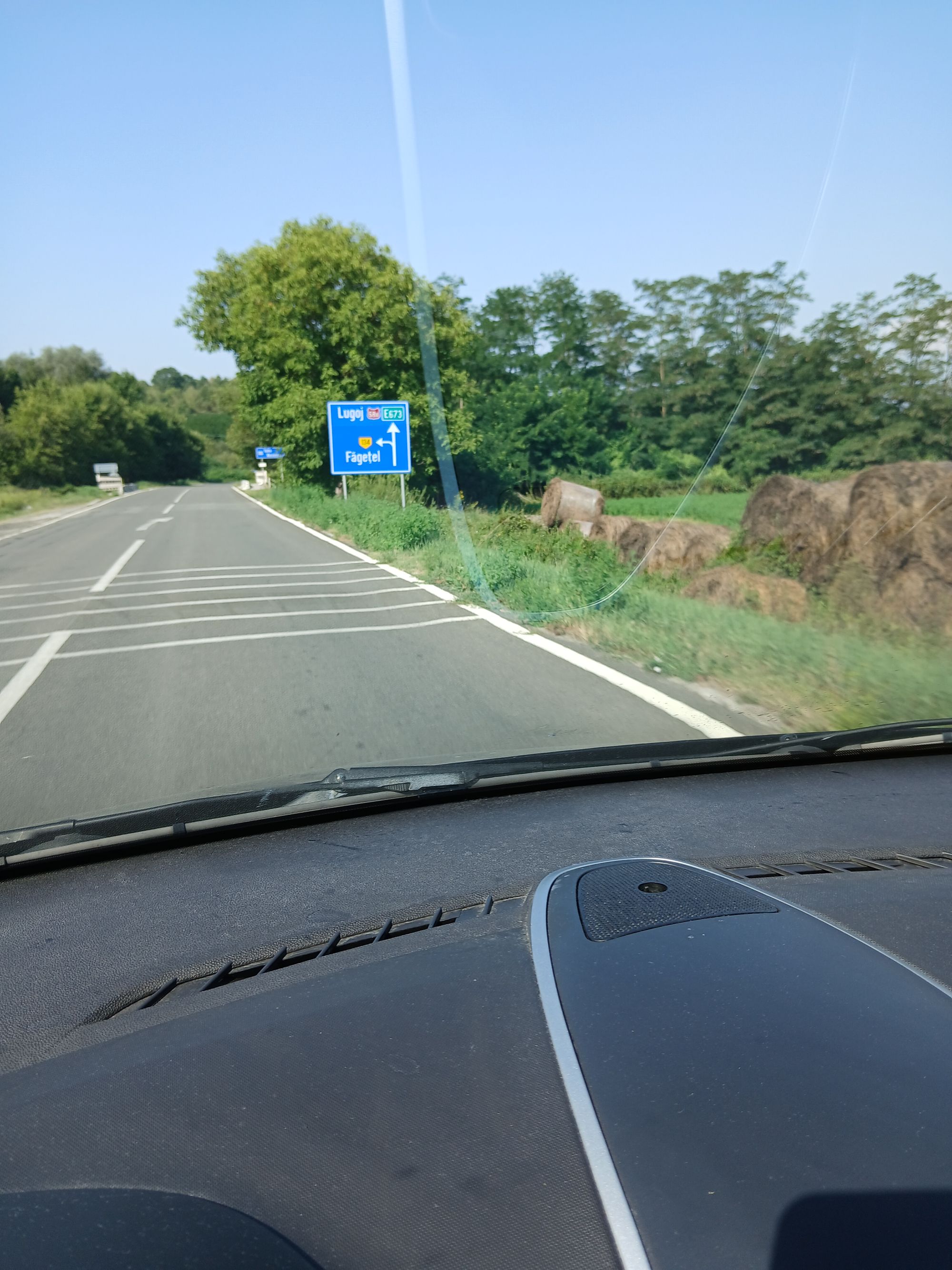 Ambrozie in Dobra, Comuna Dobra, Județul Hunedoara - 20250817_103813.jpg