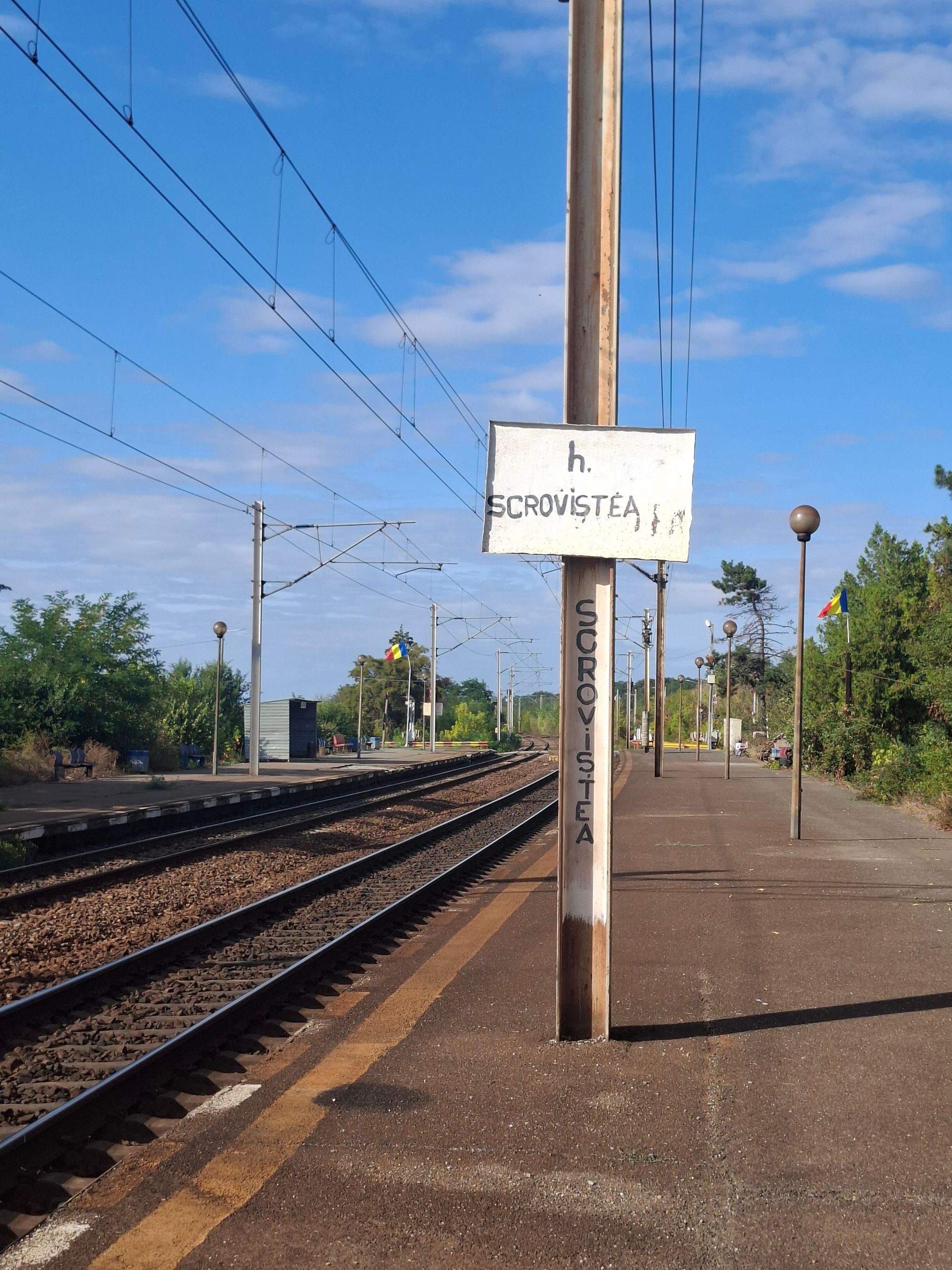 Ambrozie in Bălteni, Comuna Periș, Județul Ilfov - 20250913_165327.jpg