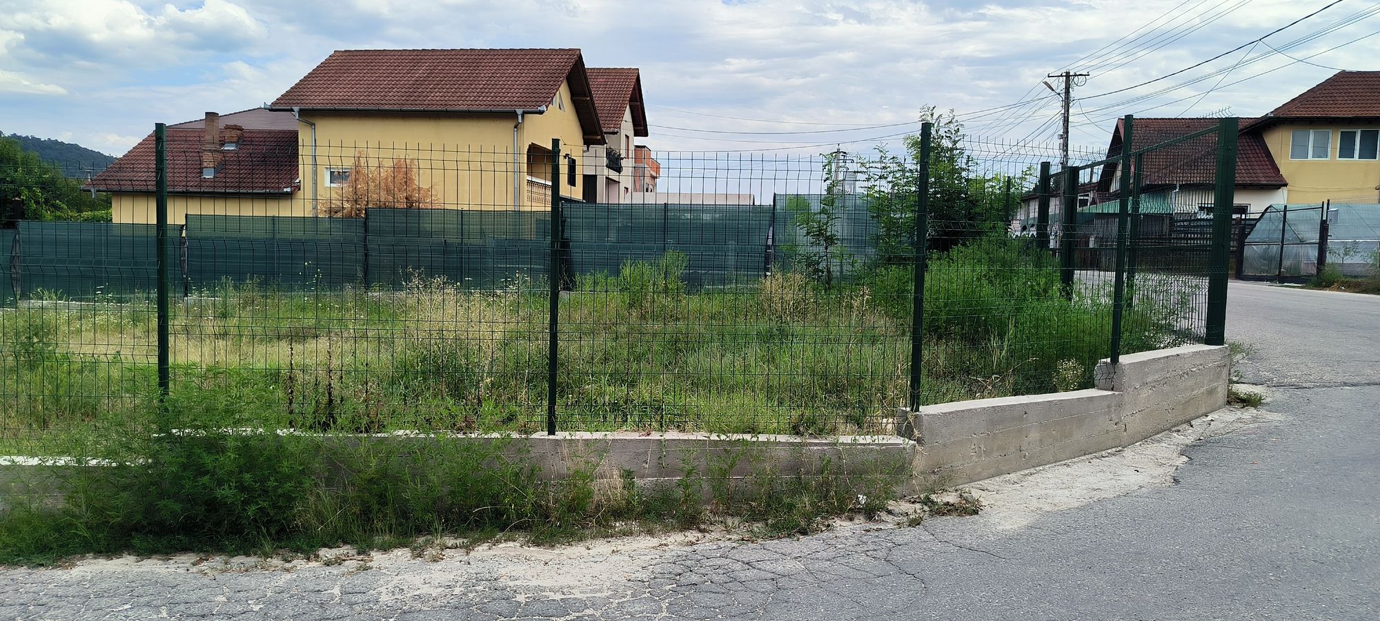 Ambrozie in Strada Buda 65, Râmnicu Vâlcea, Municipiu Râmnicu Vâlcea, Județul Vâlcea