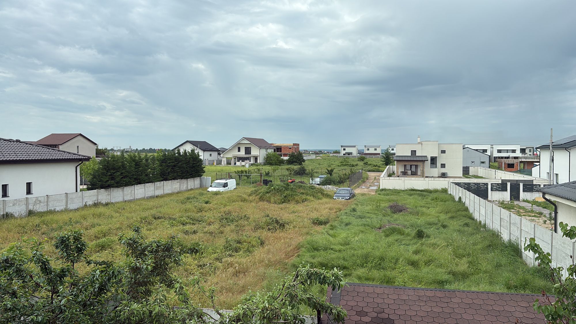 Ambrozie in Aleea 7 Teilor 14, Craiova, Comuna Malu Mare, Județul Dolj