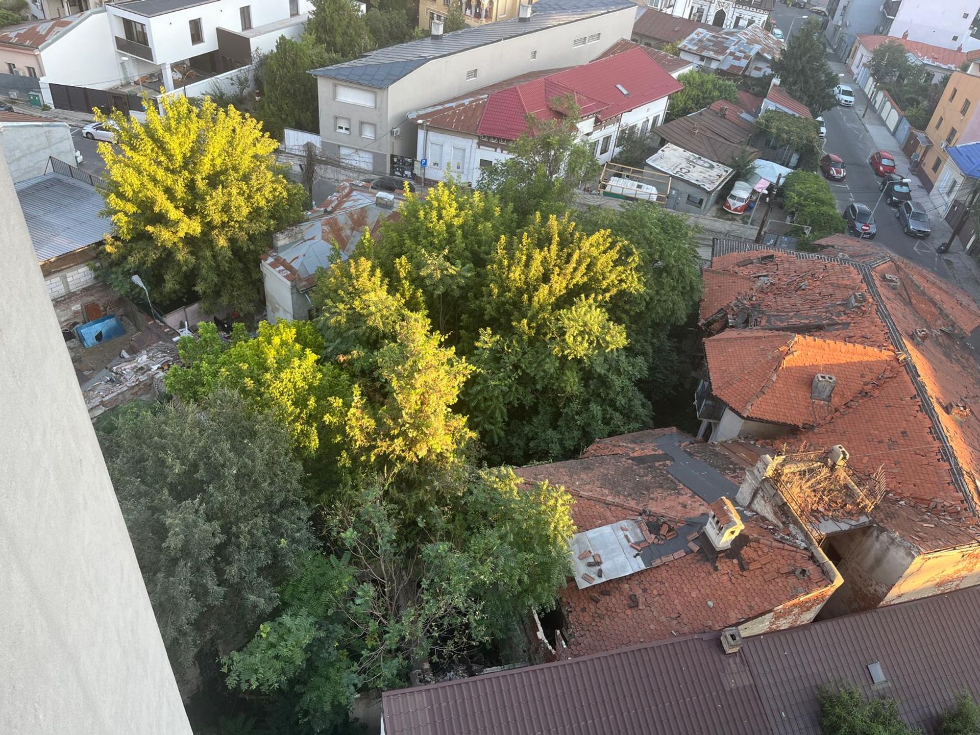 Ambrozie in Strada Valerian Prescurea 9 Bis, București, Municipiul București