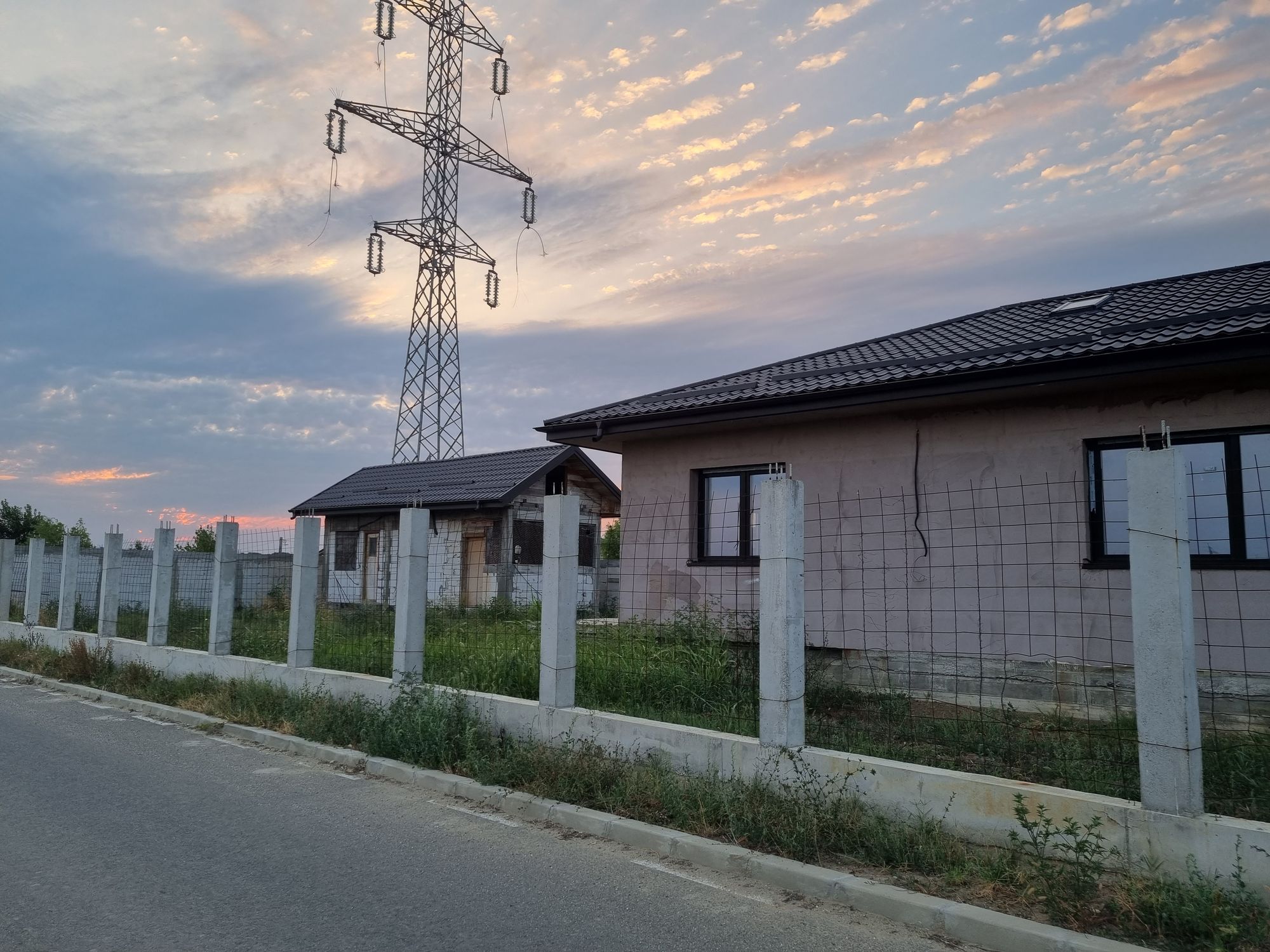 Ambrozie in Str. Miron Cristea 20, Ciorogârla, Comuna Ciorogârla, Județul Ilfov - 16921194460211520981438906201326.jpg