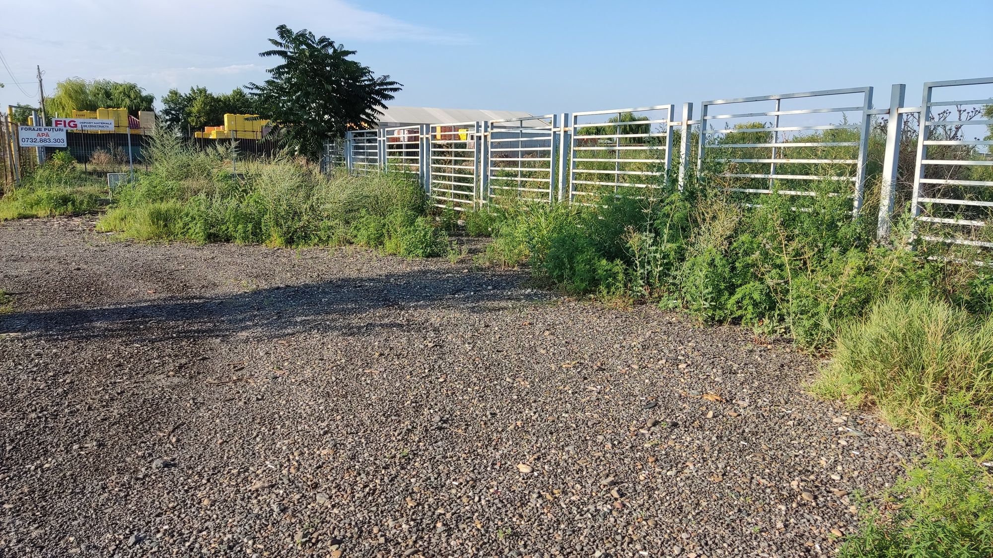 Ambrozie in DN26, Comuna Vânători, Județul Galați - IMG_20230723_183259.jpg