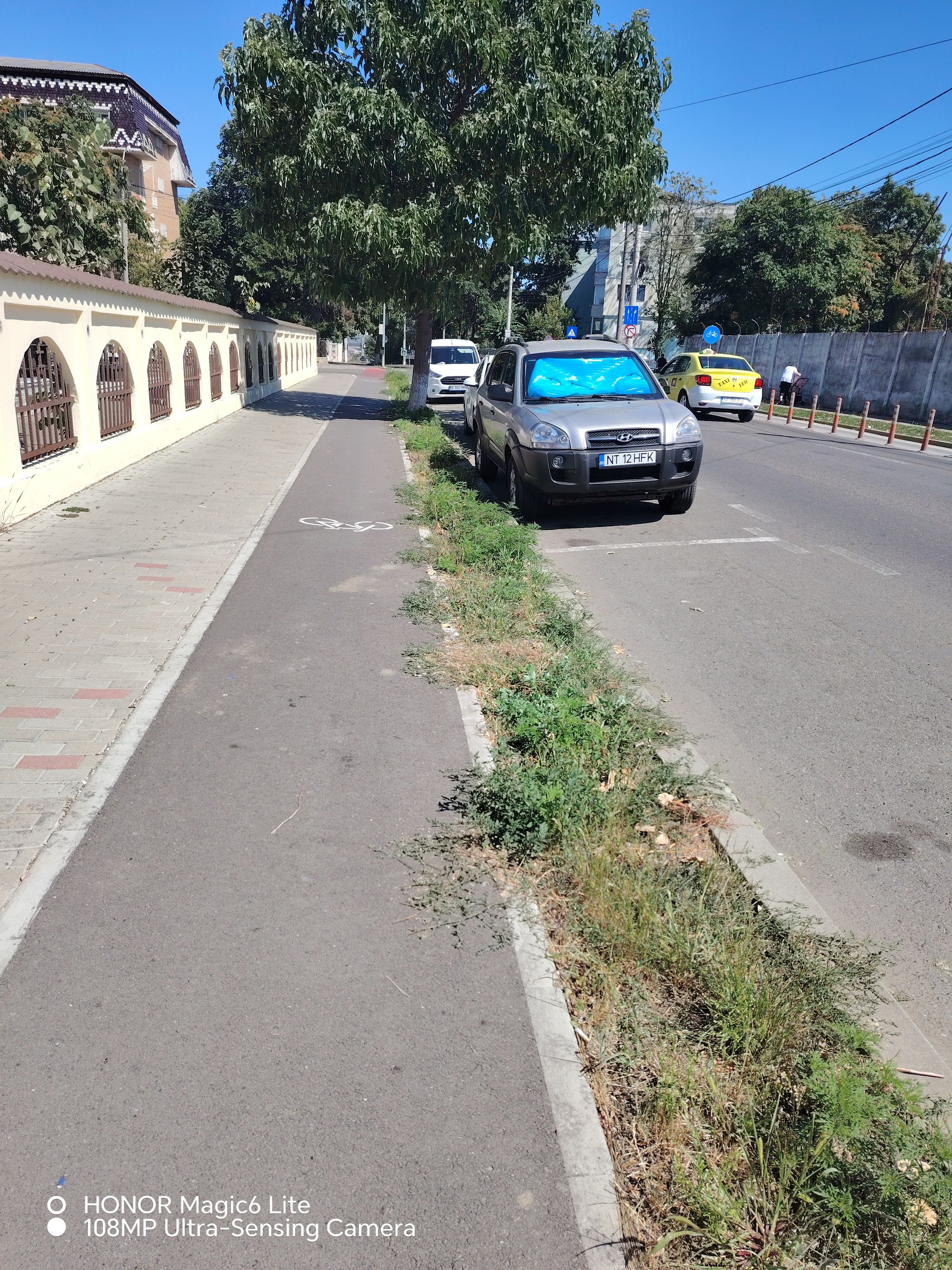 Ambrozie in Strada Anton Pann 35, Roman, Municipiu Roman, Județul Neamț - 35106.jpg