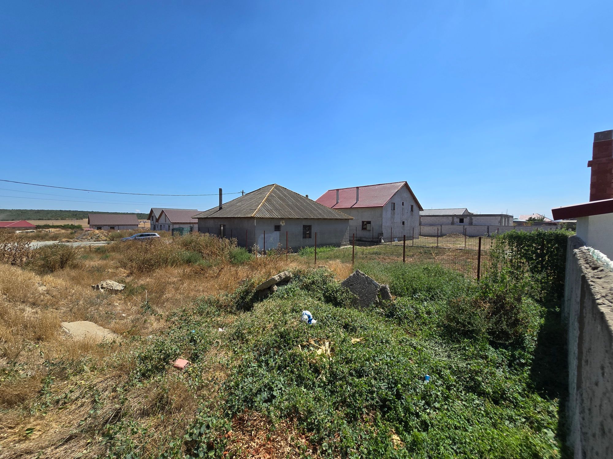 Ambrozie in Str. Castanului 6, Cuza Vodă, Comuna Cuza Vodă, Județul Constanța - inbound6335633530835109186.jpg