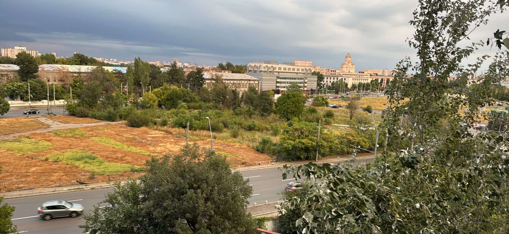 Ambrozie in București, Municipiul București