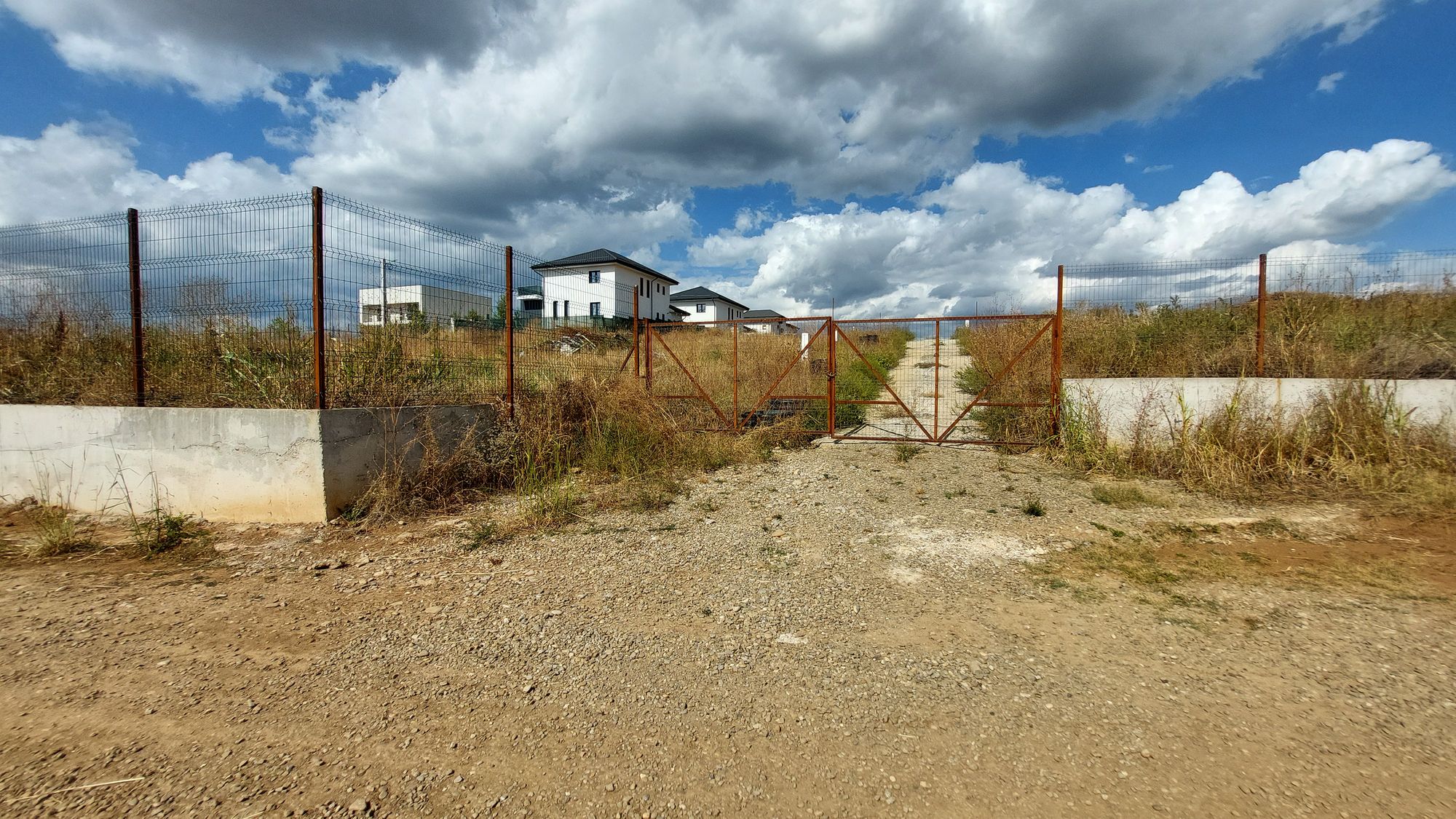 Ambrozie in Str. Albiței 45, Păulești, Comuna Păulești, Județul Prahova - 20250915_143739.jpg