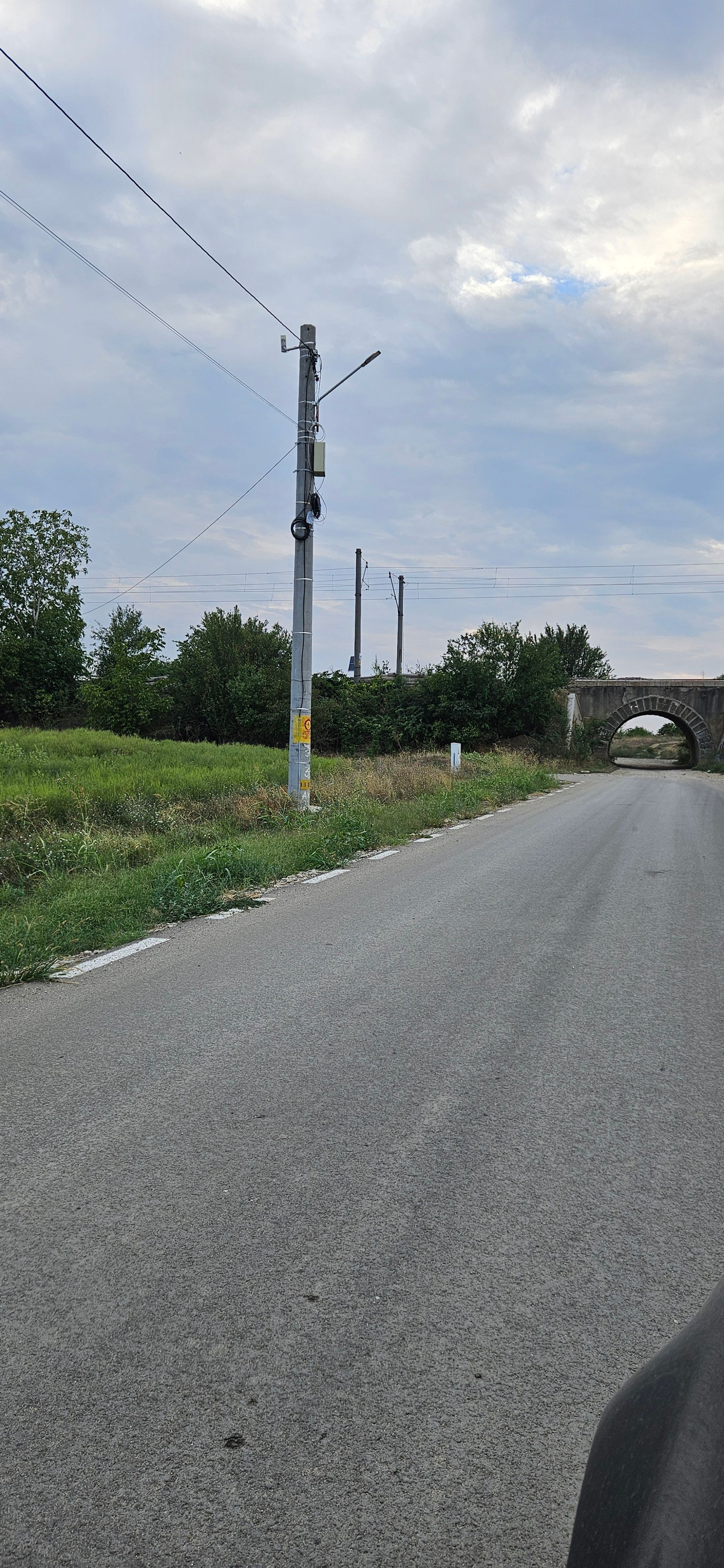 Ambrozie in Domnești, Comuna Domnești, Județul Ilfov - 1000004897.jpg