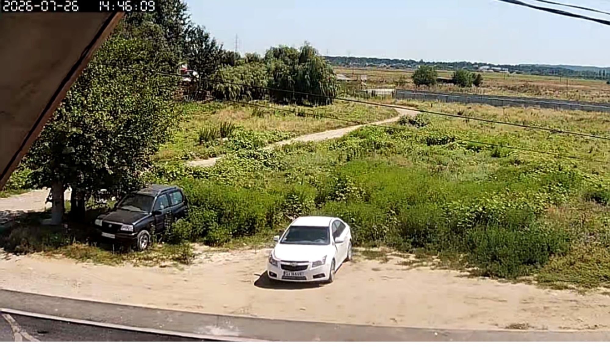 Ambrozie in Strada Poligonului 150, Craiova, Municipiu Craiova, Județul Dolj