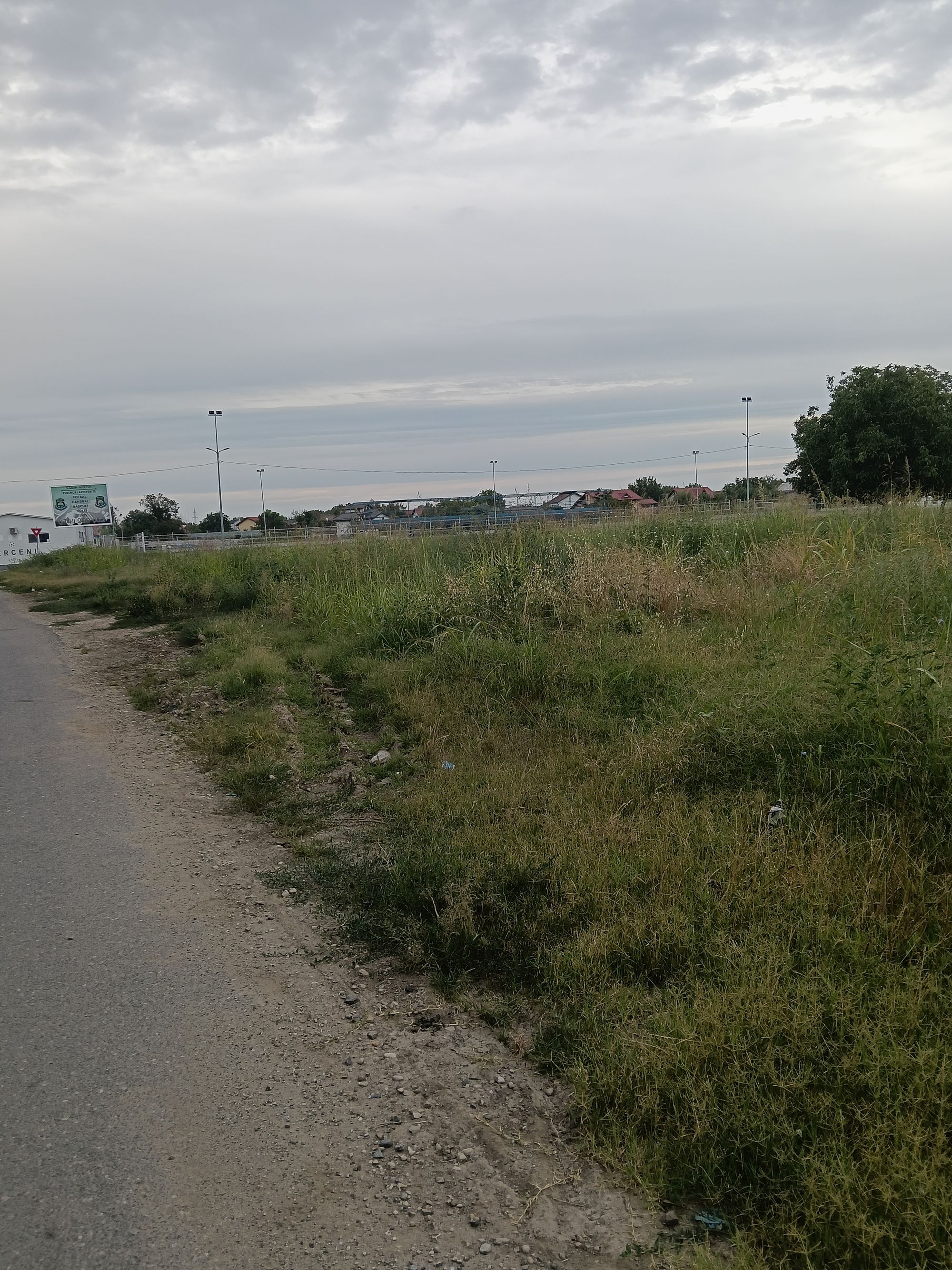 Ambrozie in Strada Stadionului 36 B, Berceni, Comuna Berceni, Județul Ilfov