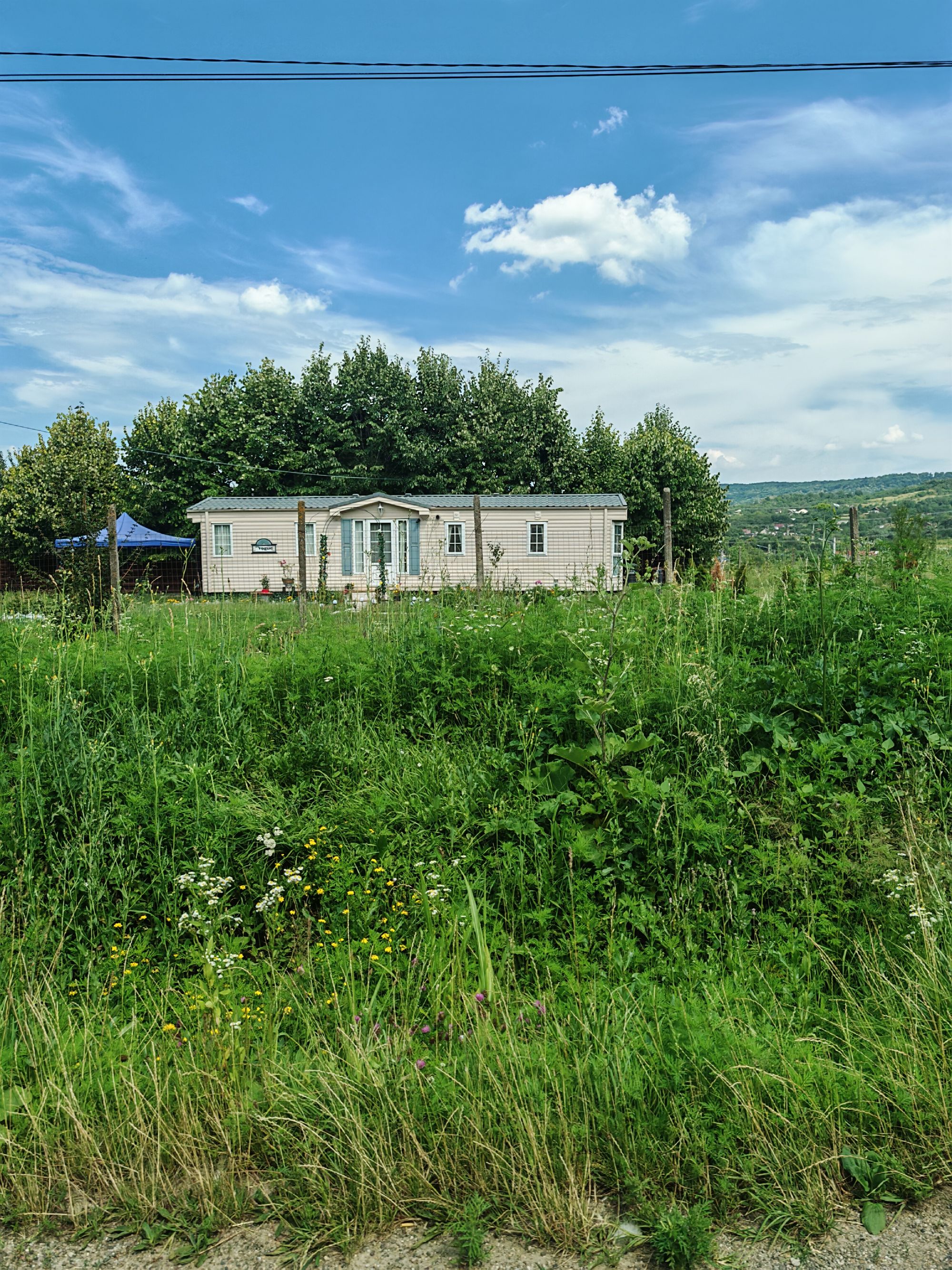 Ambrozie in Curături, Comuna Ciurea, Județul Iași