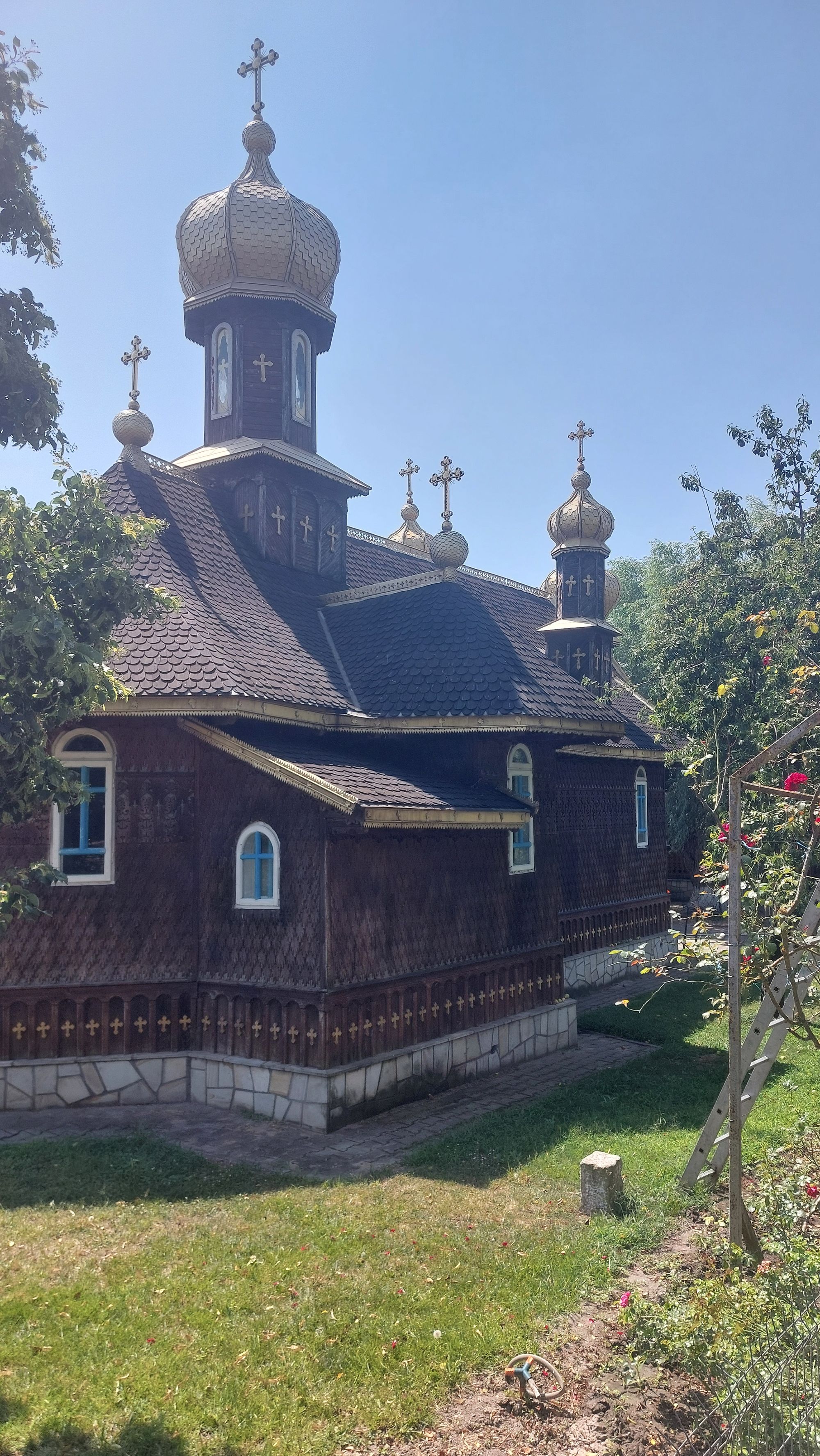 Ambrozie in Câşliţa, Comuna Chilia Veche, Județul Tulcea