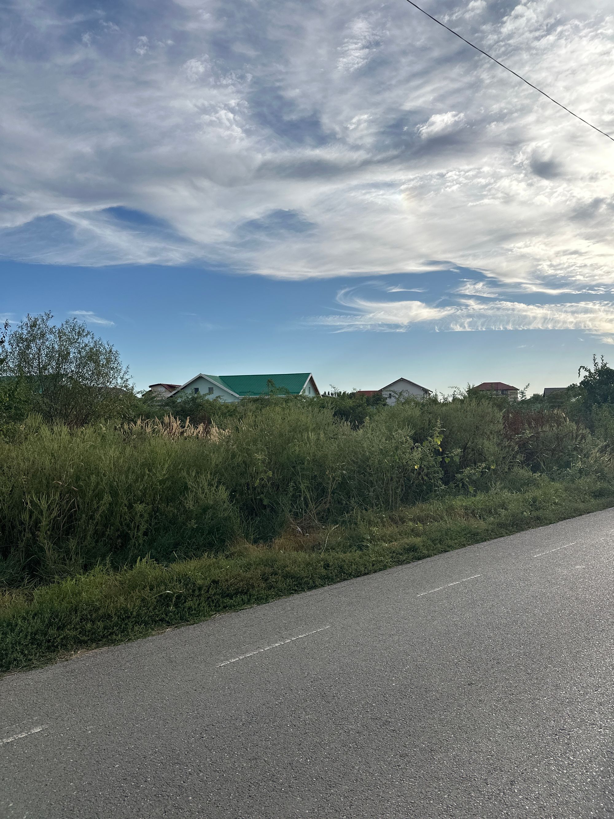 Ambrozie in Strada Fortului 128, Olteni, Comuna Clinceni, Județul Ilfov