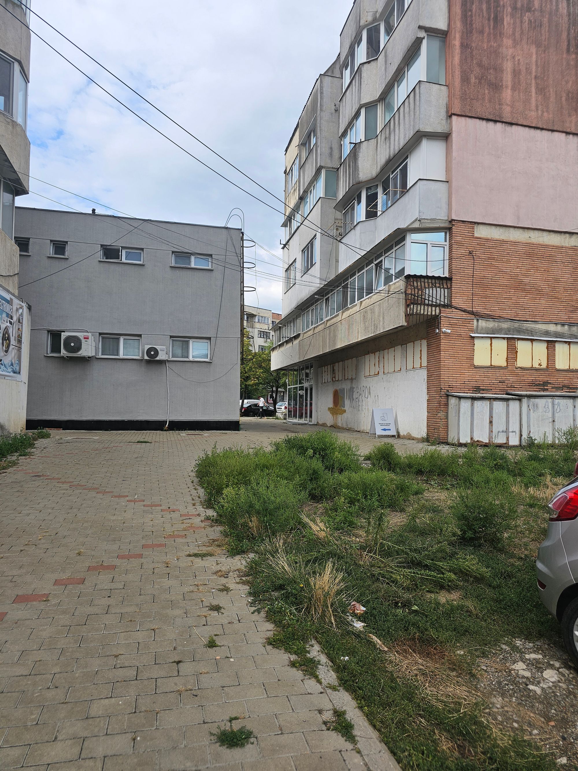 Ambrozie in Șoseaua Păcurari nr.57 bloc 548, scara A, Iași, Municipiu Iași, Județul Iași