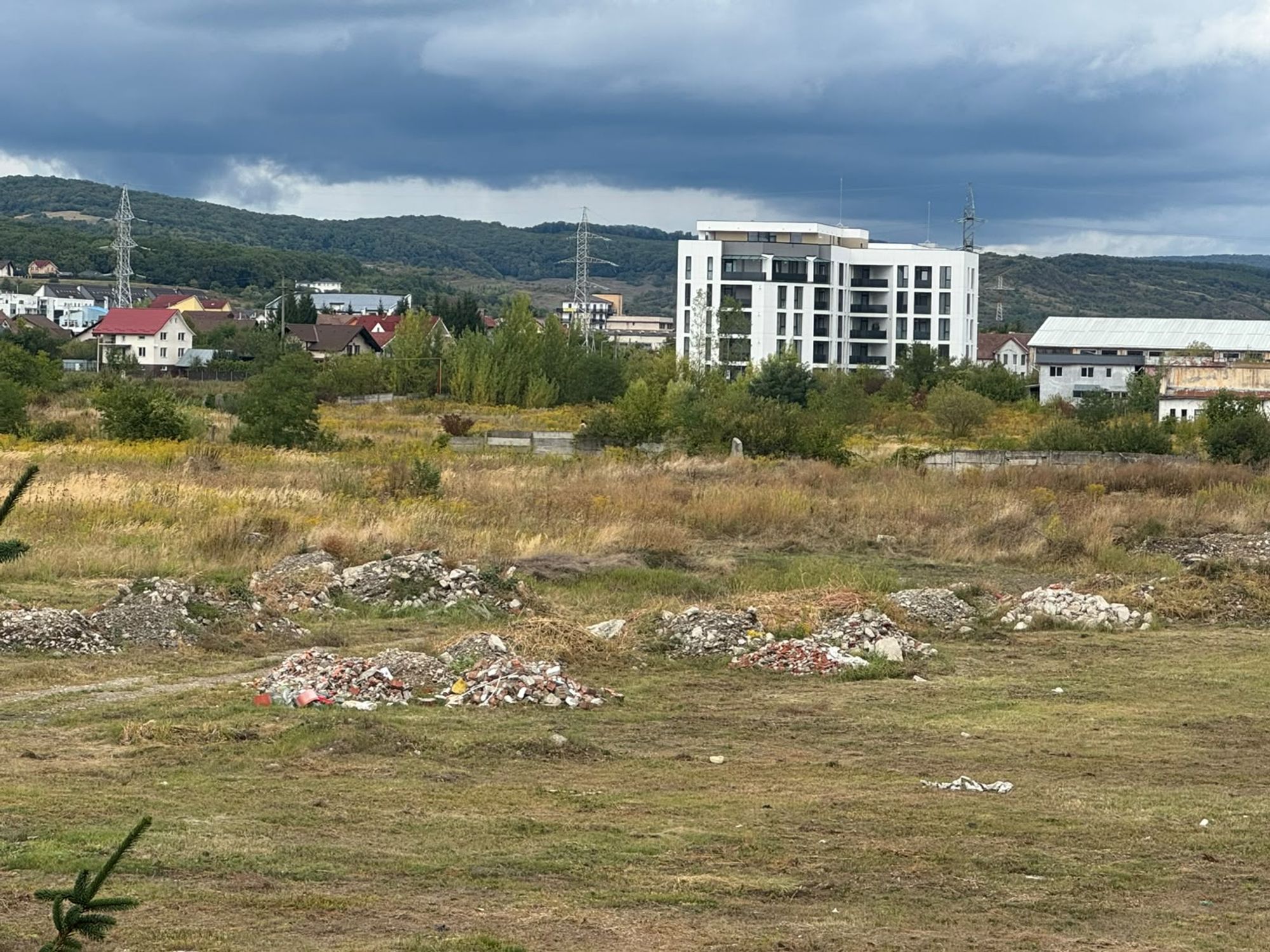 Ambrozie in Strada Aleea fanatanele , Bistrița, Municipiu Bistrița, Județul Bistrița-Năsăud