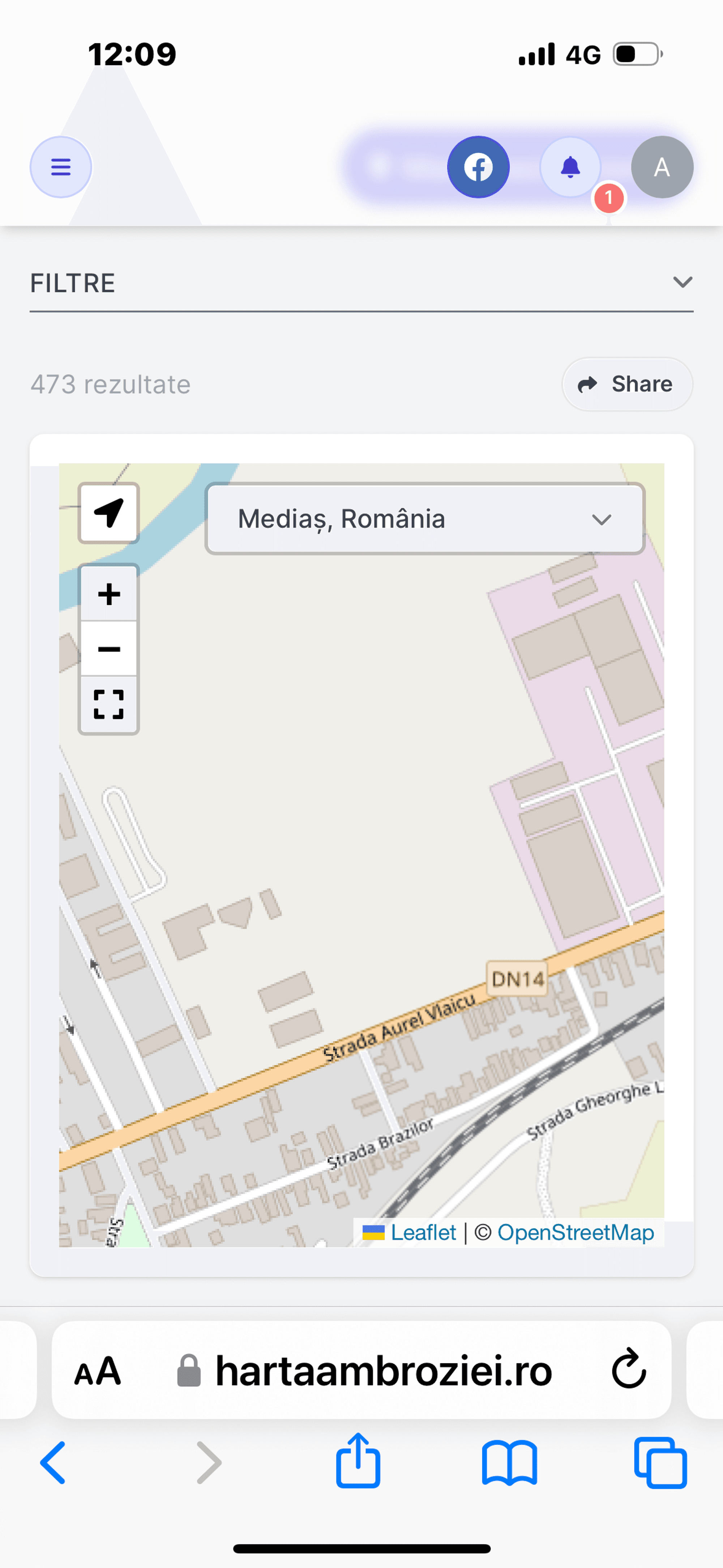 Ambrozie in DN14 90, Mediaș, Municipiu Mediaş, Județul Sibiu - IMG_0967.png