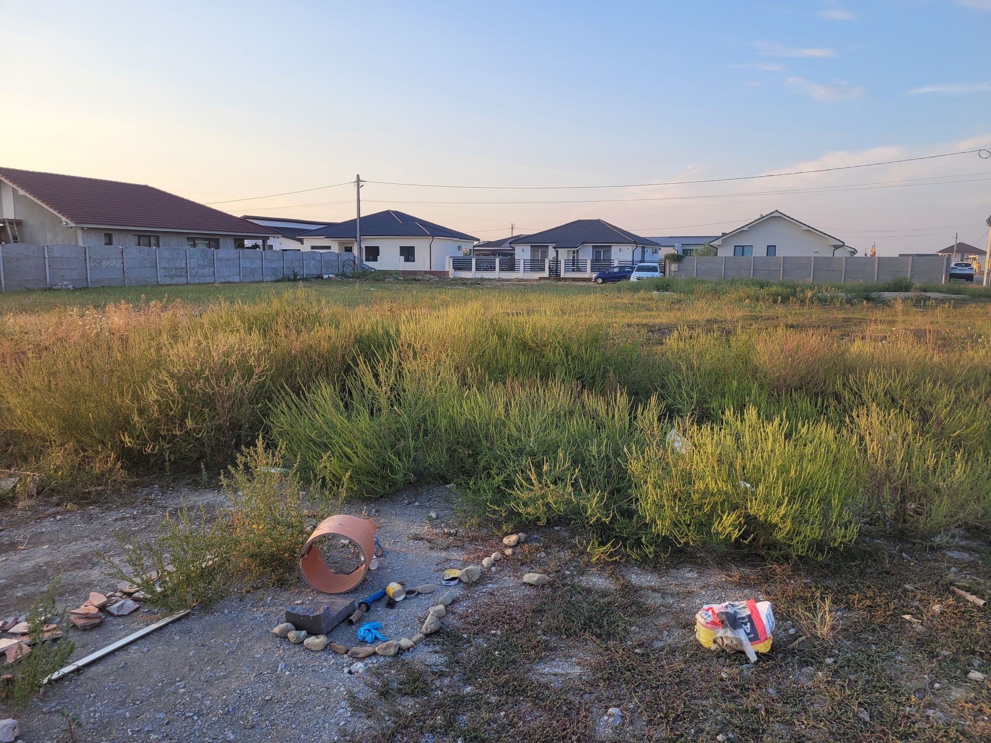 Ambrozie in Victoriei 4, Comuna Nojorid, Județul Bihor - 20250908_192308.jpg