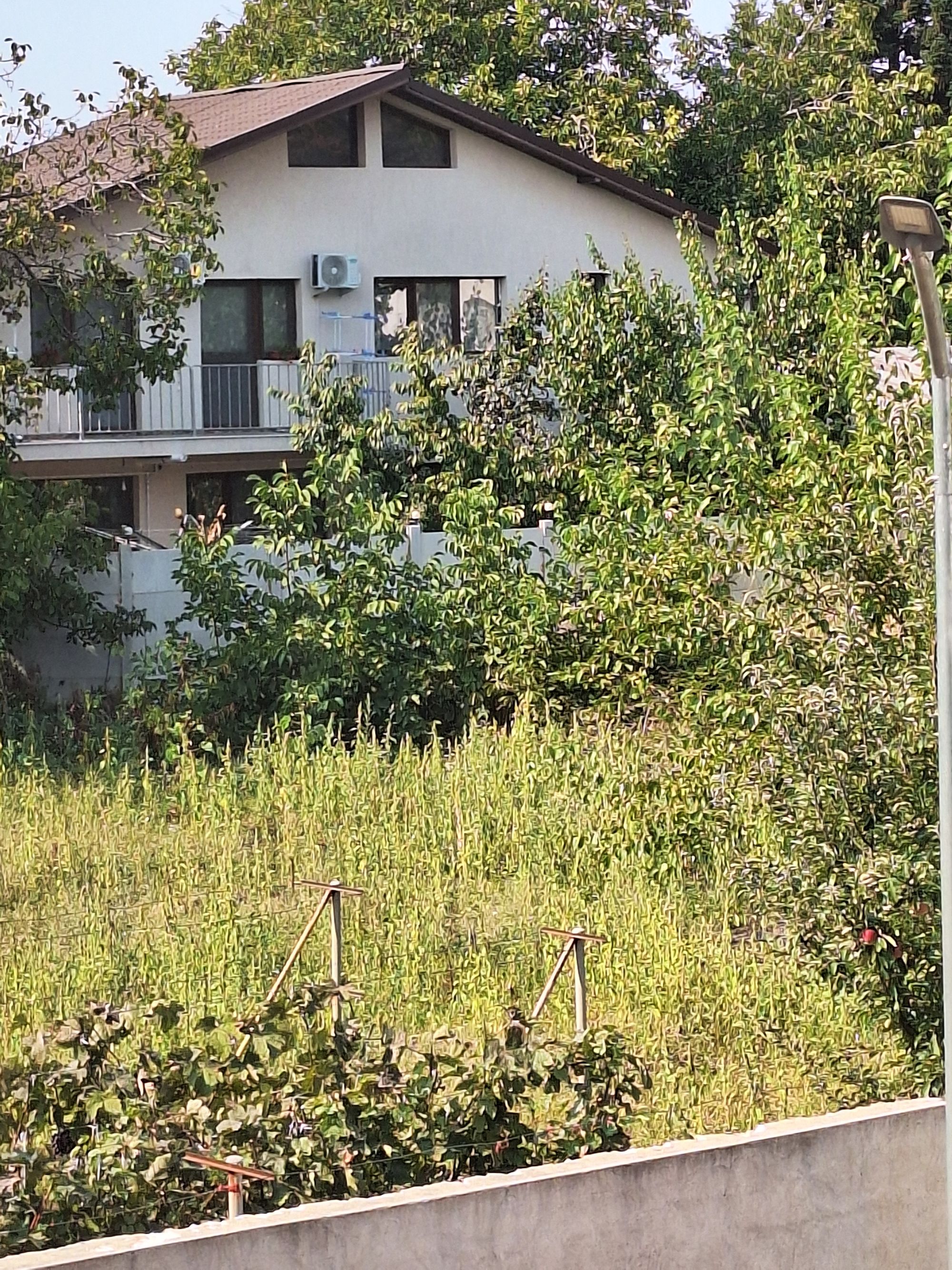 Ambrozie in Strada Cosmina 51, București, Municipiul București - 1000125052.jpg