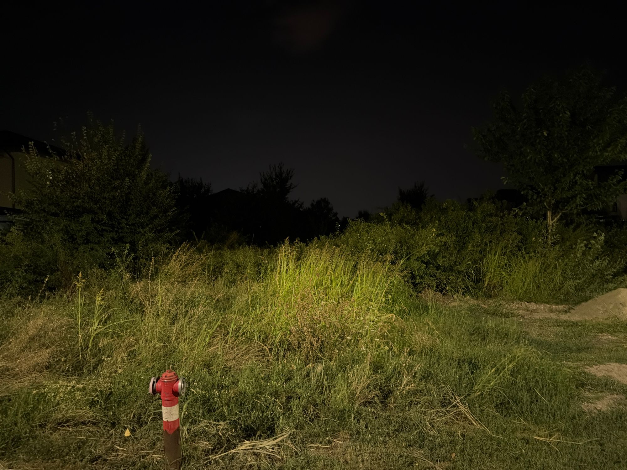 Ambrozie in Strada Matei Basarab 31, Odăile, Oraș Otopeni, Județul Ilfov