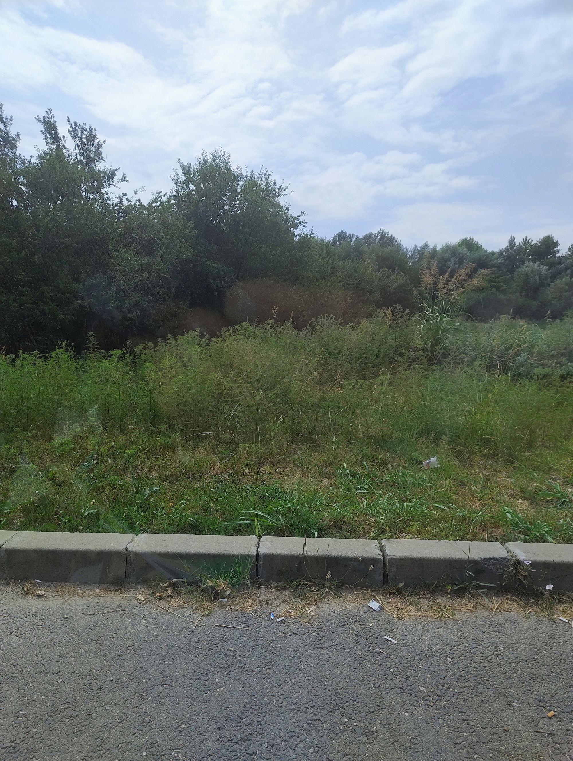 Ambrozie in Strada Ciutaci 92, Domnești, Comuna Domnești, Județul Ilfov