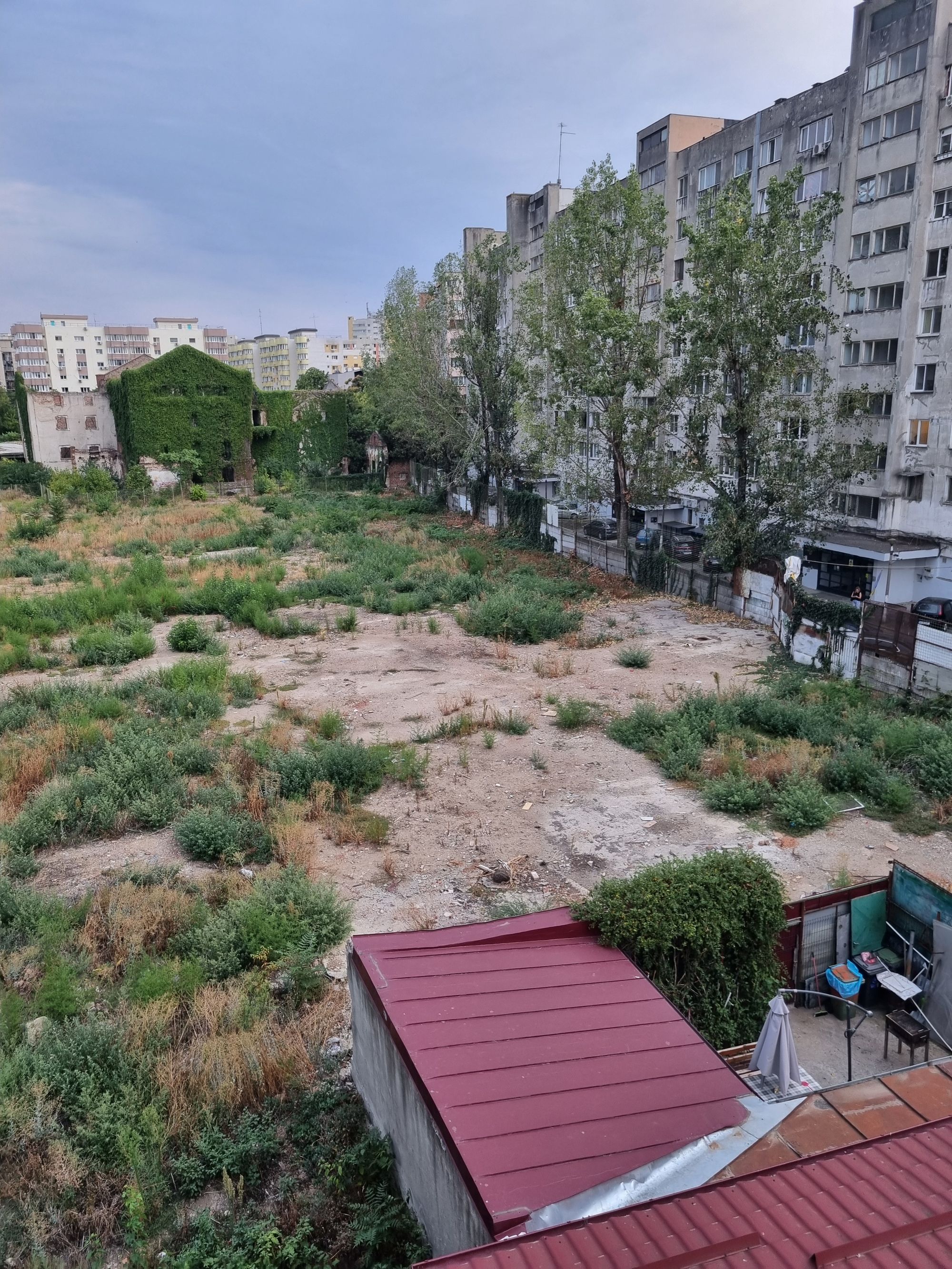 Ambrozie in Strada Silozului 1, București, Municipiul București - 20250910_184409.jpg