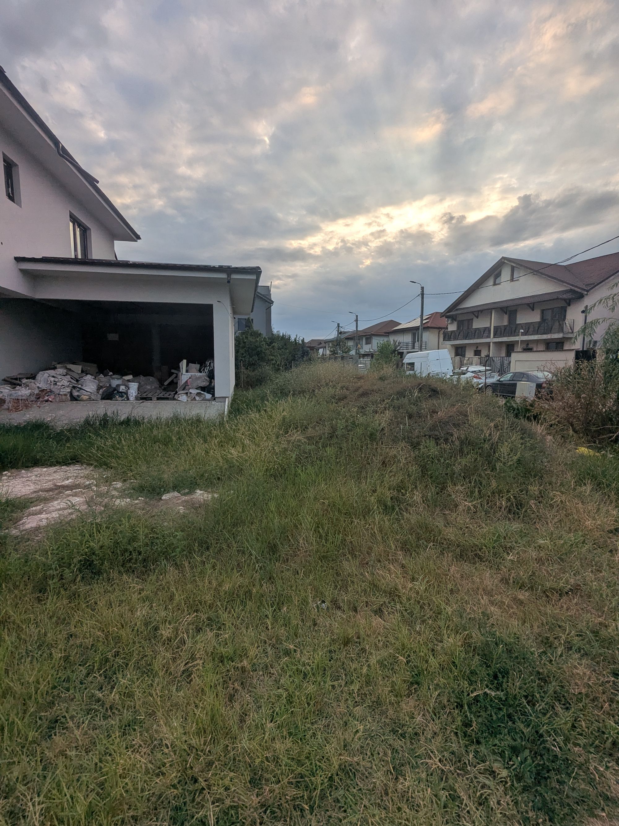 Ambrozie in Strada Ordonantei 2, Bragadiru, Oraș Bragadiru, Județul Ilfov