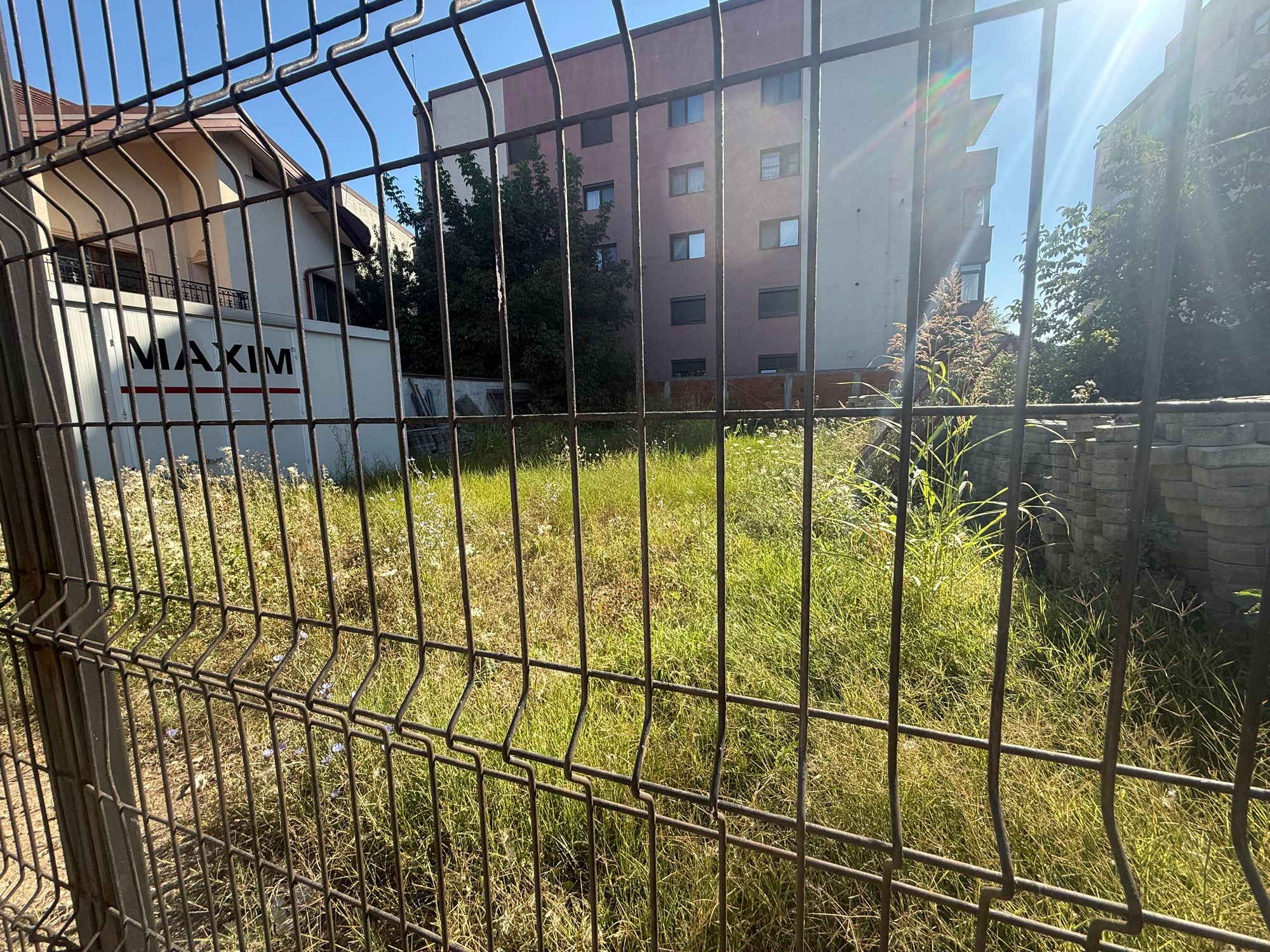 Ambrozie marcată de aliona h în Prelungirea Ghencea 268A, București, Municipiul București