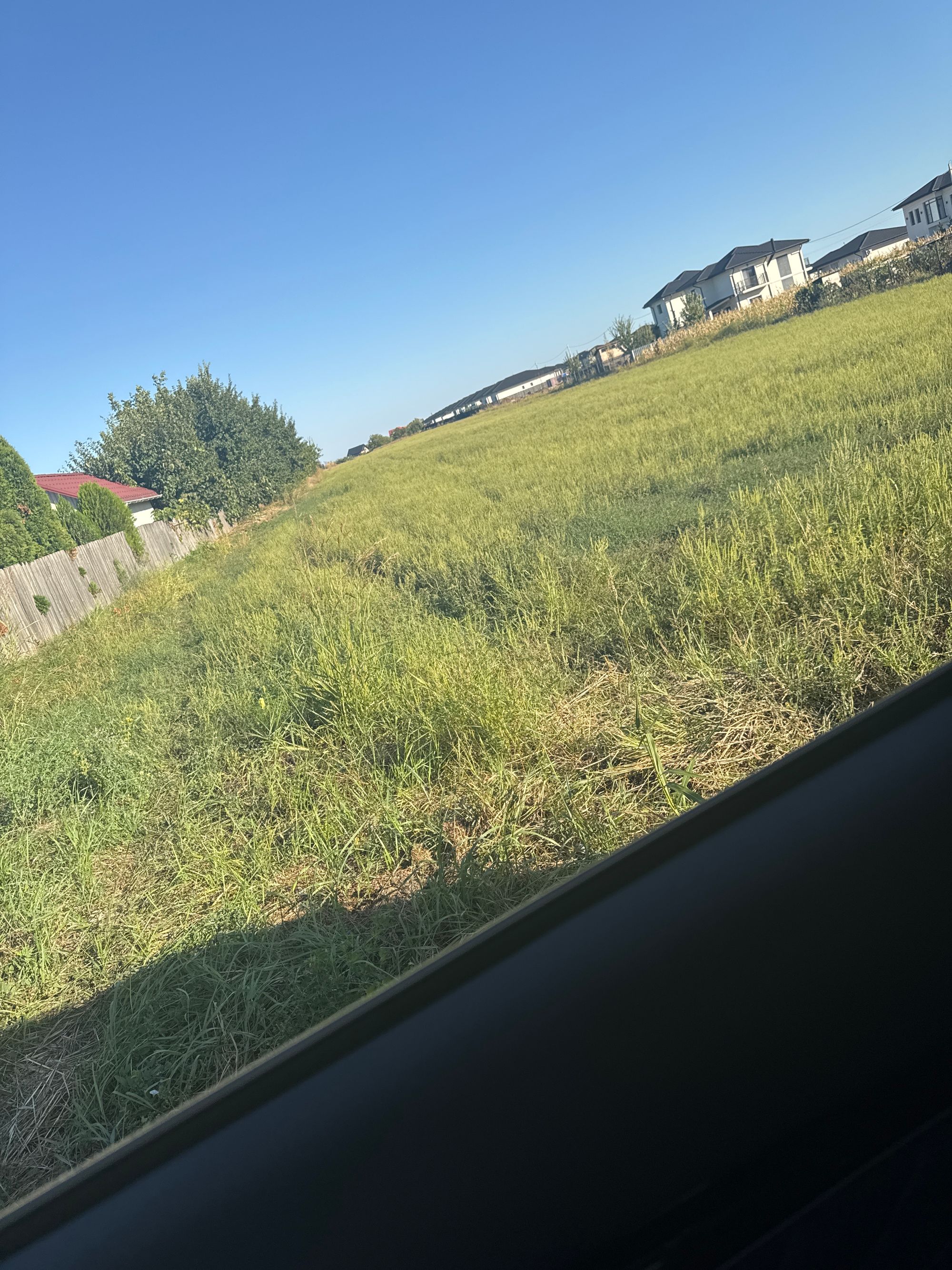 Ambrozie in Strada Buzamet 4, Valea Ursului, Comuna Miroslava, Județul Iași - image.jpg
