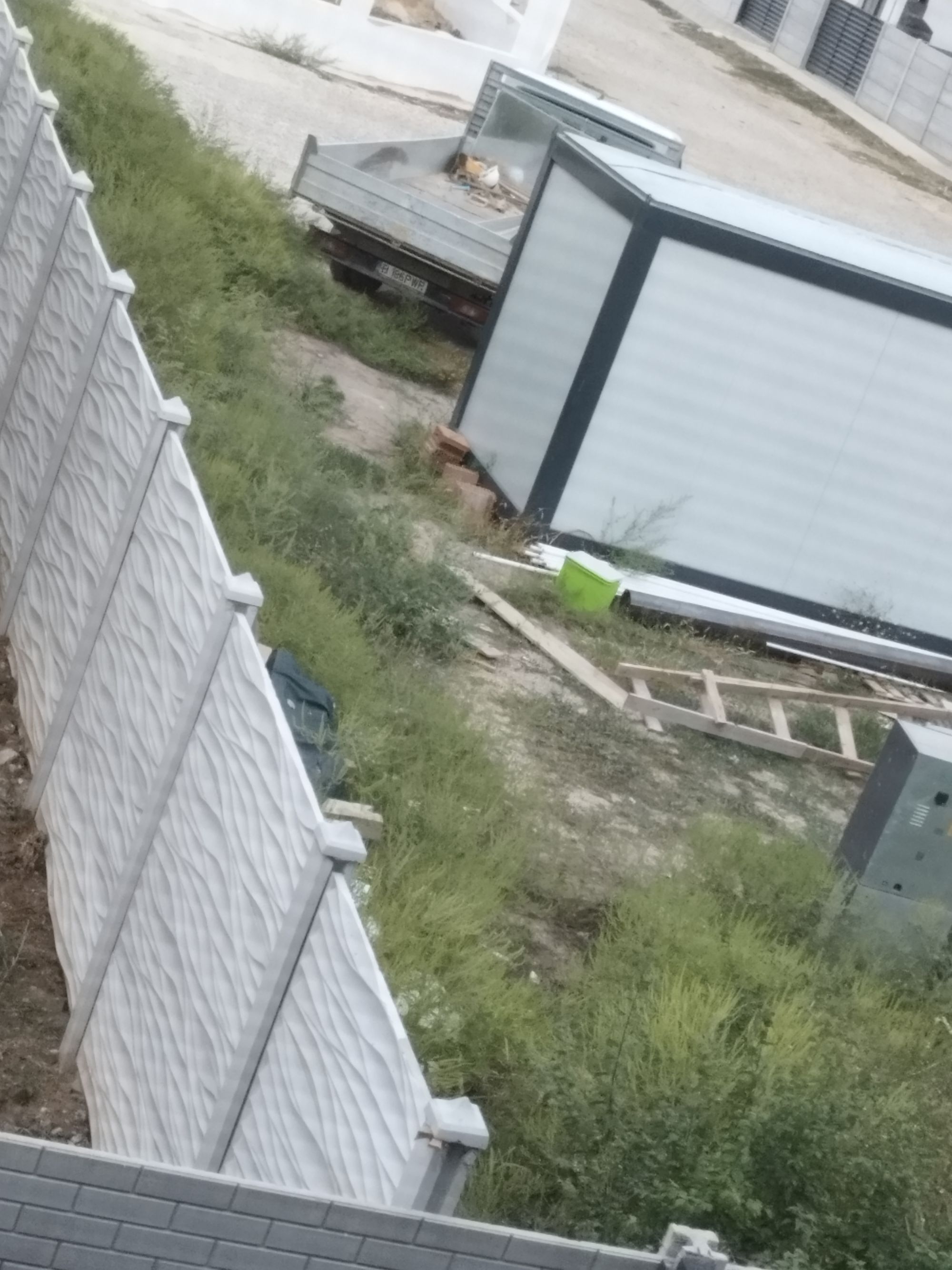 Ambrozie in Strada Arieșului 19-21D, Bragadiru, Oraş Bragadiru, Județul Ilfov - IMG_20250910_192034.jpg