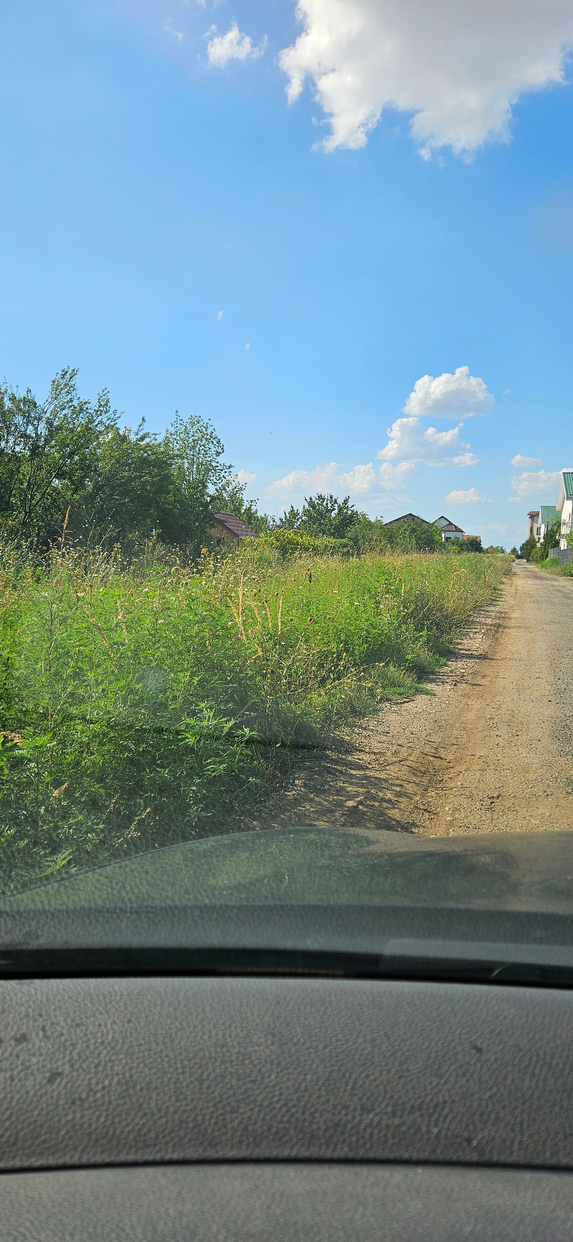 Ambrozie in Strada Smaraldului 5, Domnești, Comuna Domnești, Județul Ilfov