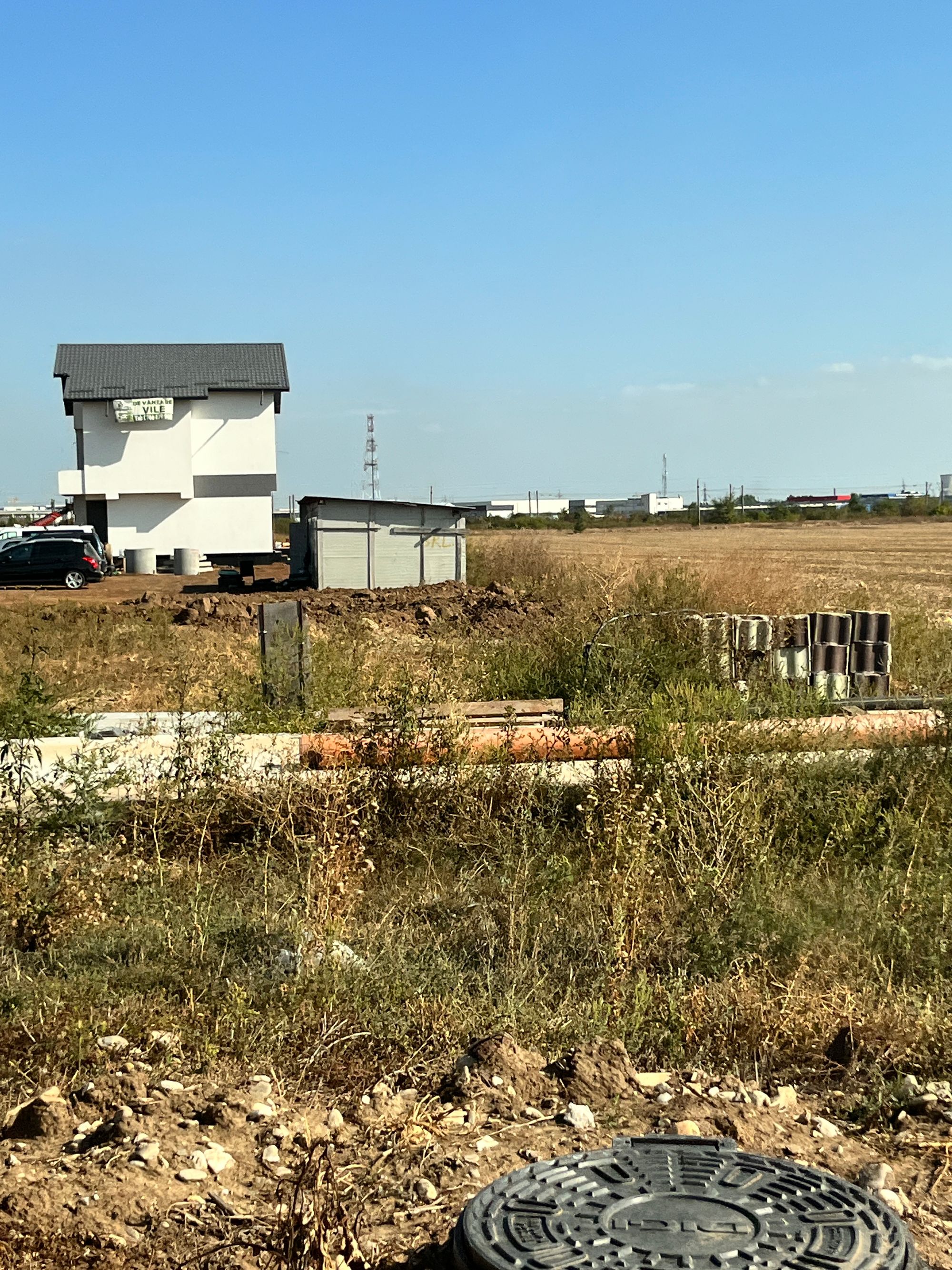 Ambrozie in Strada Bujorului 3, Dragomirești-Deal, Comună Dragomireşti-vale, Județul Ilfov - IMG_9607.jpeg