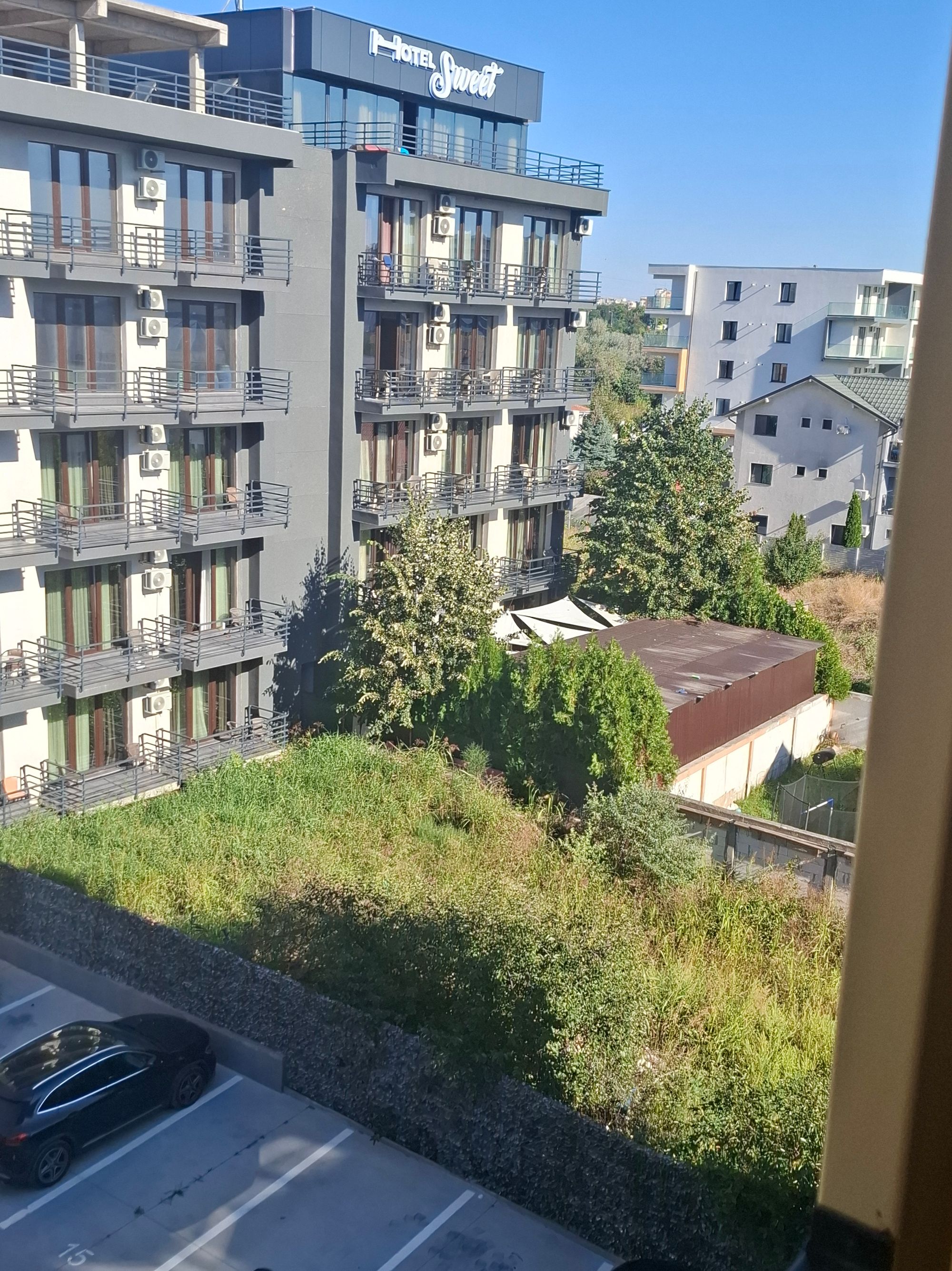 Ambrozie in Strada T3 51, Mamaia-Sat, Oraș Năvodari, Județul Constanța - 20260905_093041.jpg