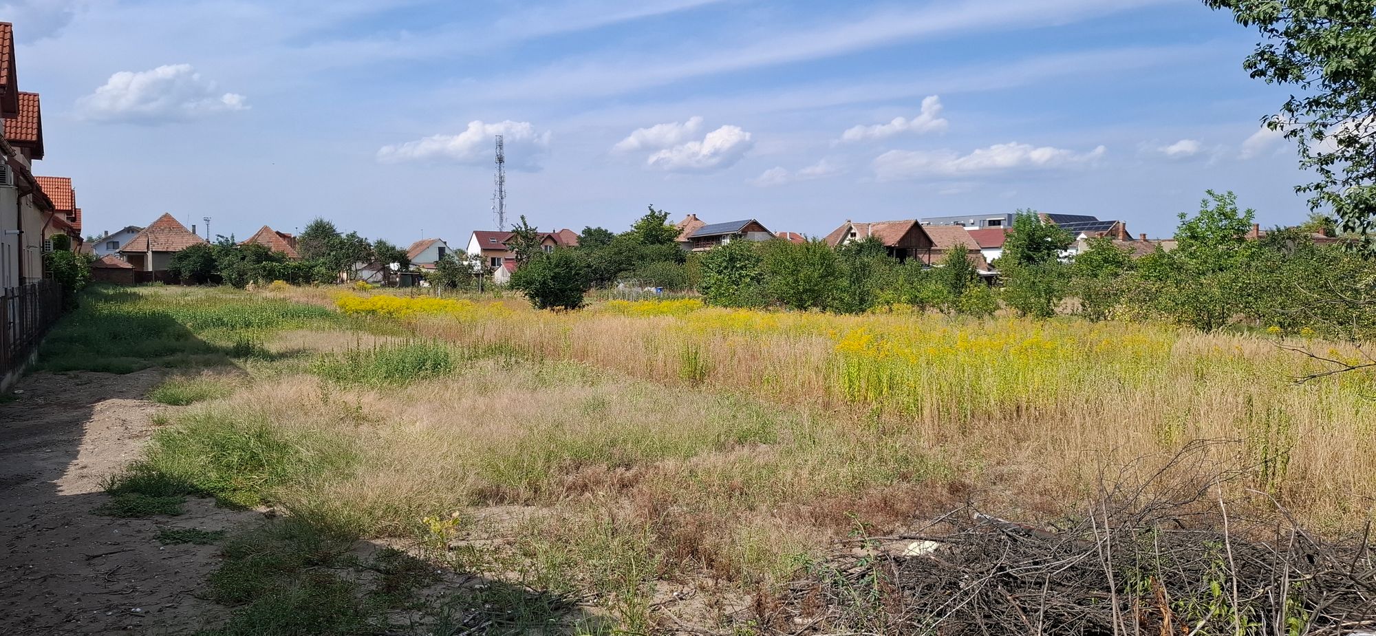 Ambrozie in Strada Partenie Cosma 27, Sibiu, Municipiu Sibiu, Județul Sibiu