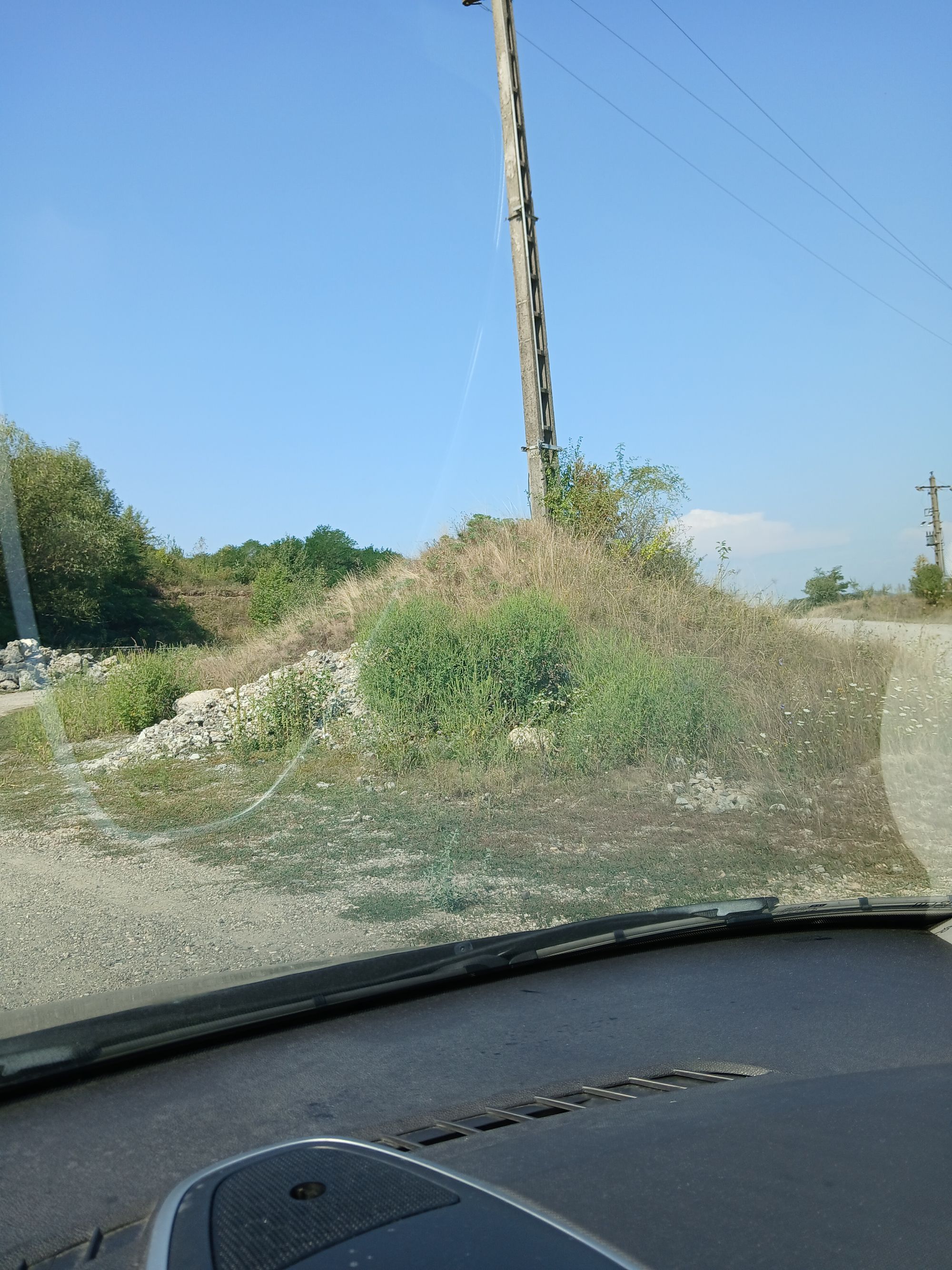 Ambrozie in Strada Lugojului 79, Dobra, Comuna Dobra, Județul Hunedoara - 20250817_104714.jpg