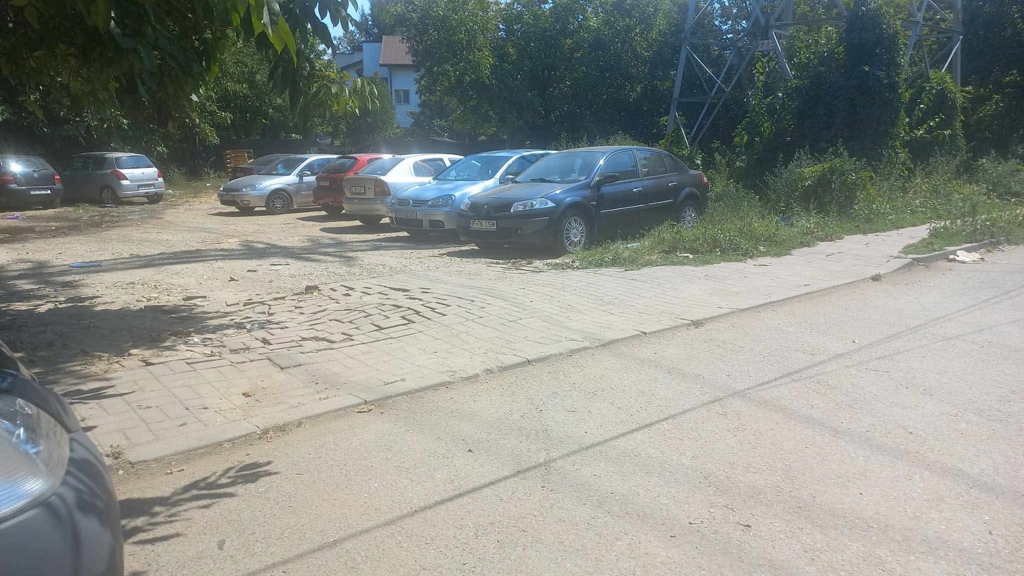 Ambrozie in Strada Oituz 2t, Popești-Leordeni, Oraş Popeşti Leordeni, Județul Ilfov - Messenger_creation_7361001942926561803.jpeg