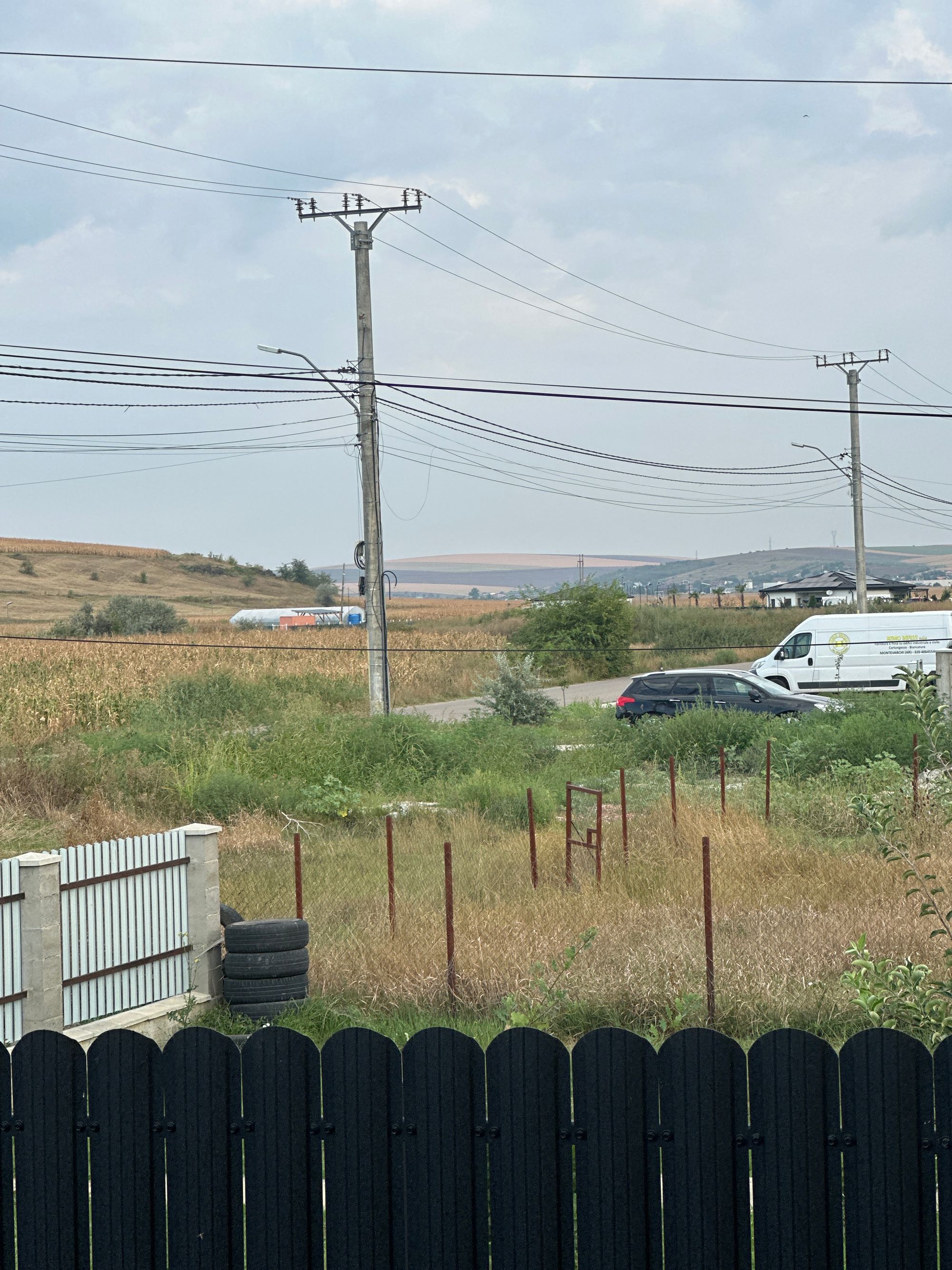 Ambrozie in Strada Agatha Bârsescu 78, Lețcani, Comuna Lețcani, Județul Iași - image.jpg