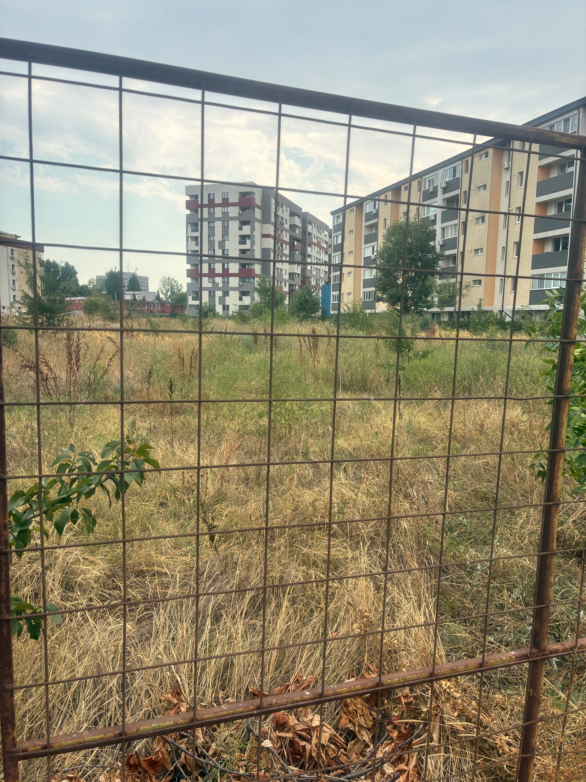 Ambrozie in Drumul Crețeștilor 29, București, Municipiul București
