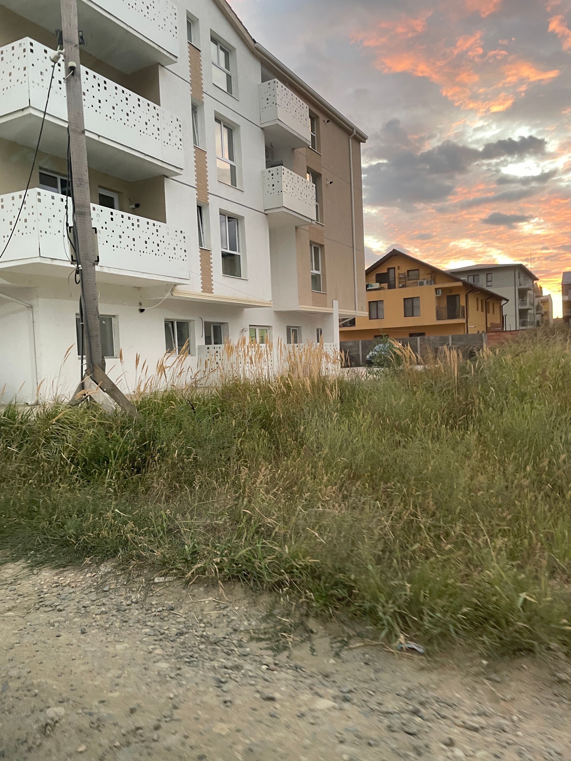 Ambrozie in Strada Frasinului 12, Giroc, Comuna Giroc, Județul Timiș