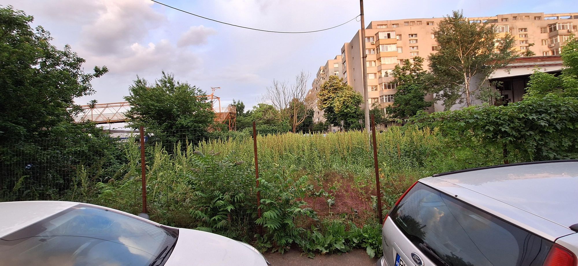 Ambrozie in Strada Măgura Florilor 16, București, Municipiul București